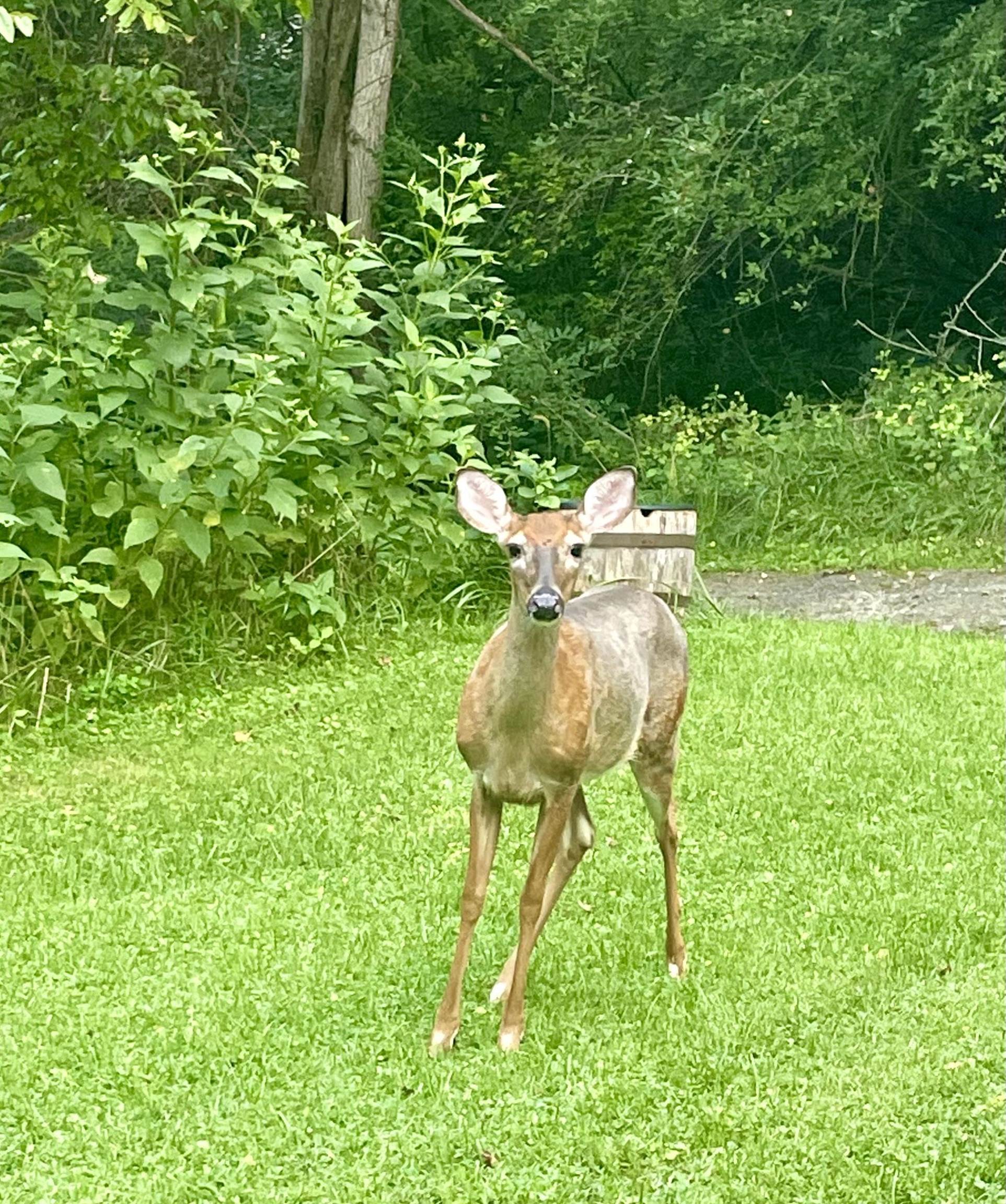 1917 Keisters Branch Road