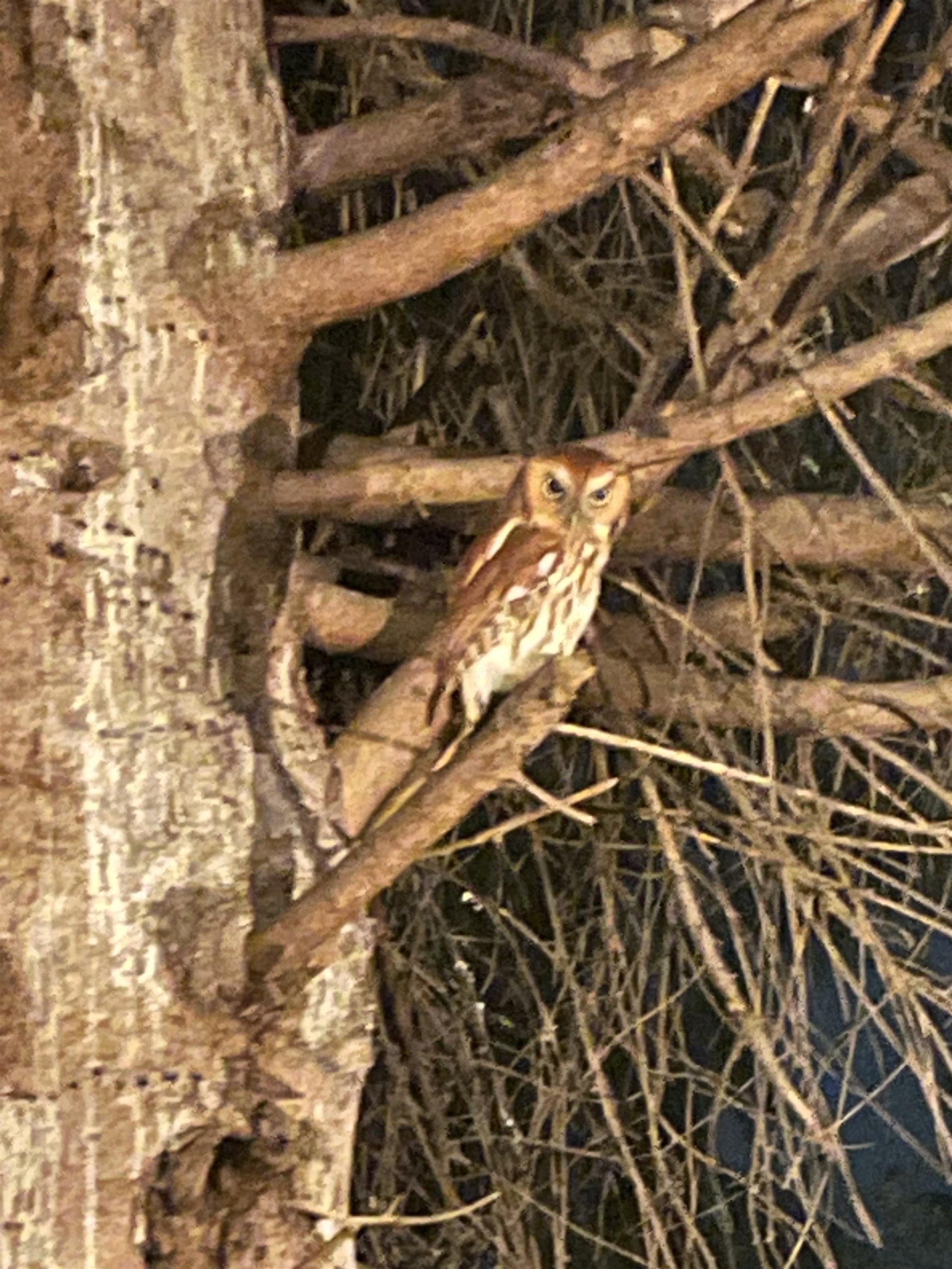 1917 Keisters Branch Road