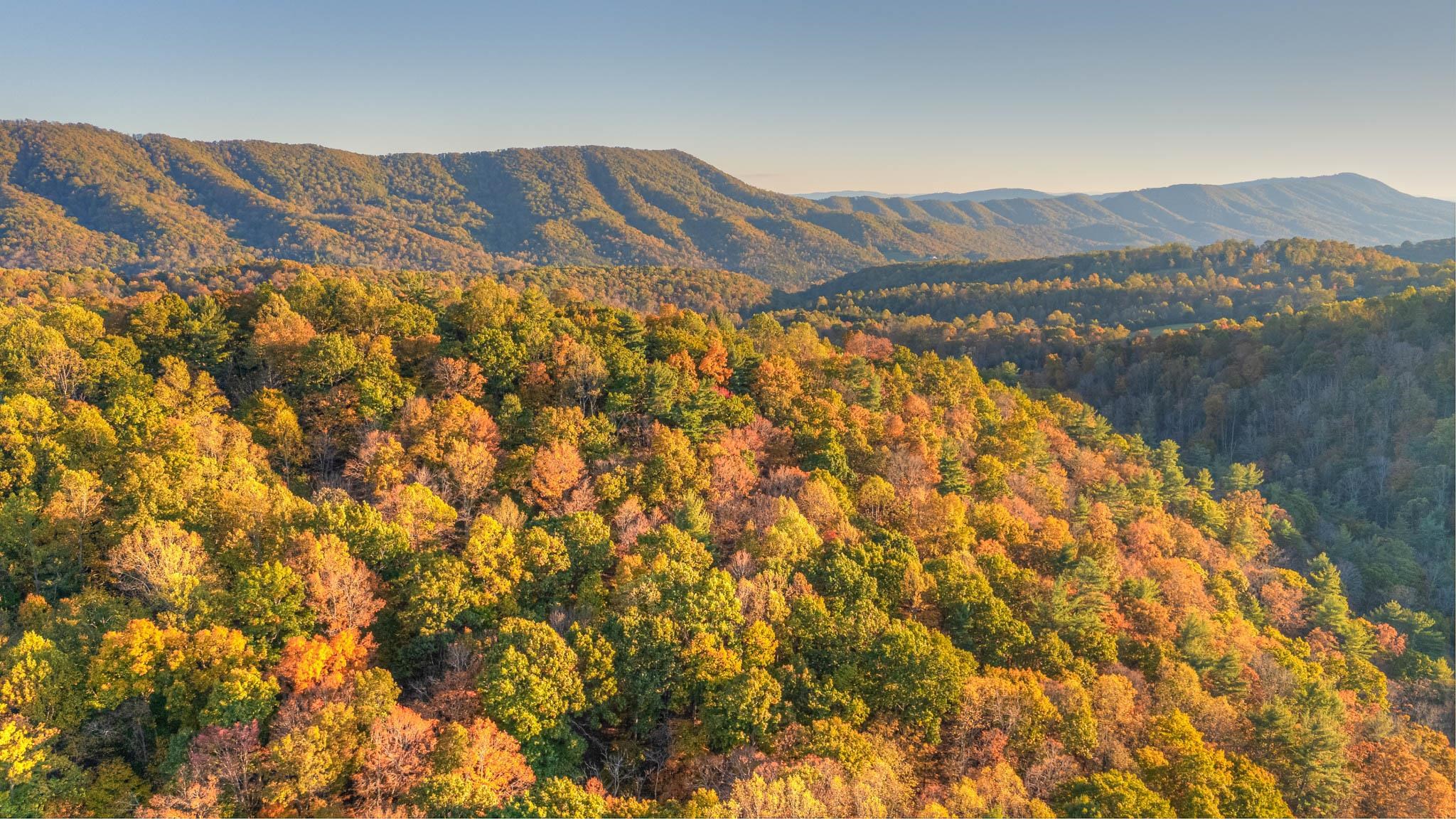 4928 Mount Tabor Road