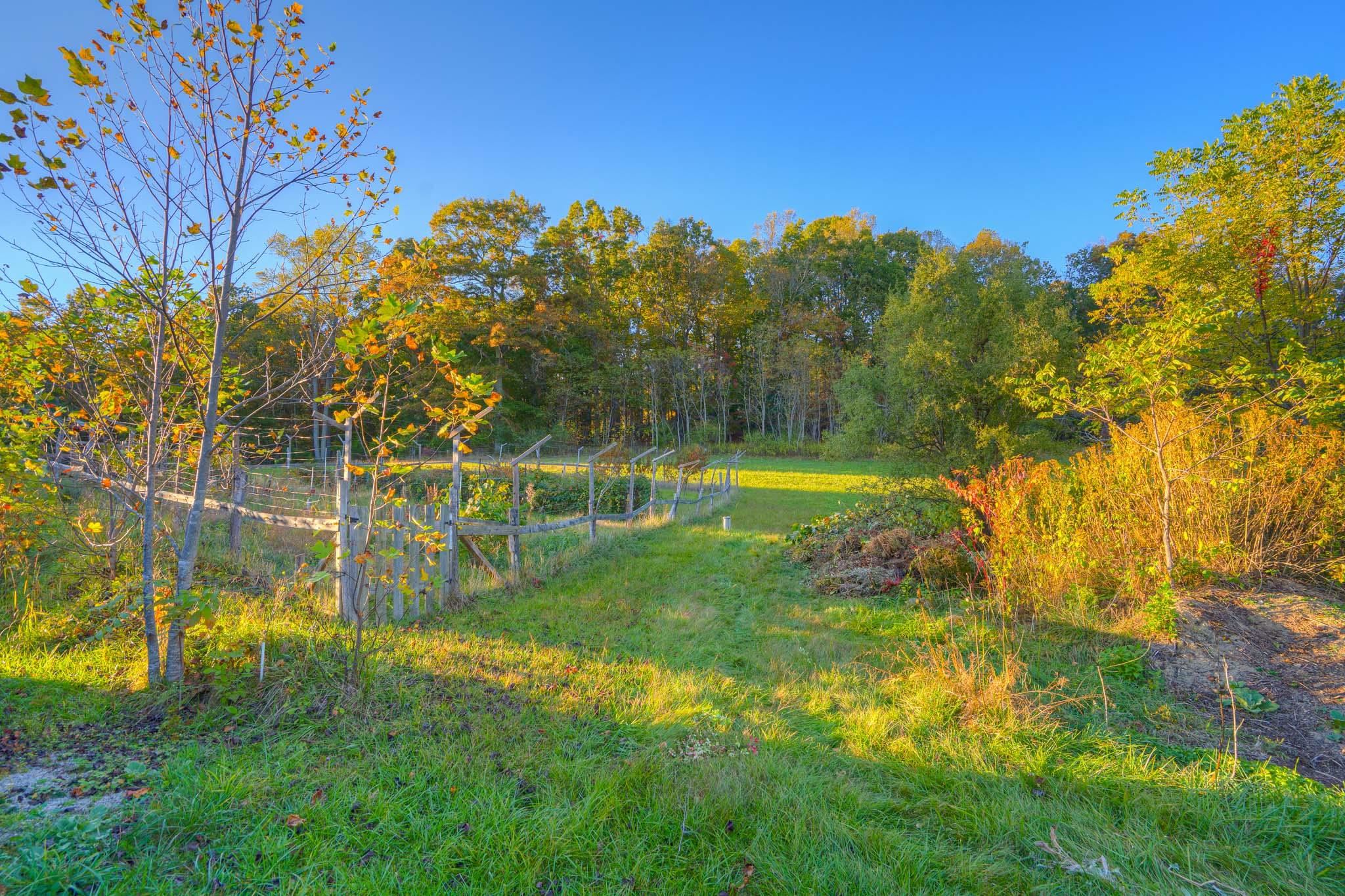 4928 Mount Tabor Road