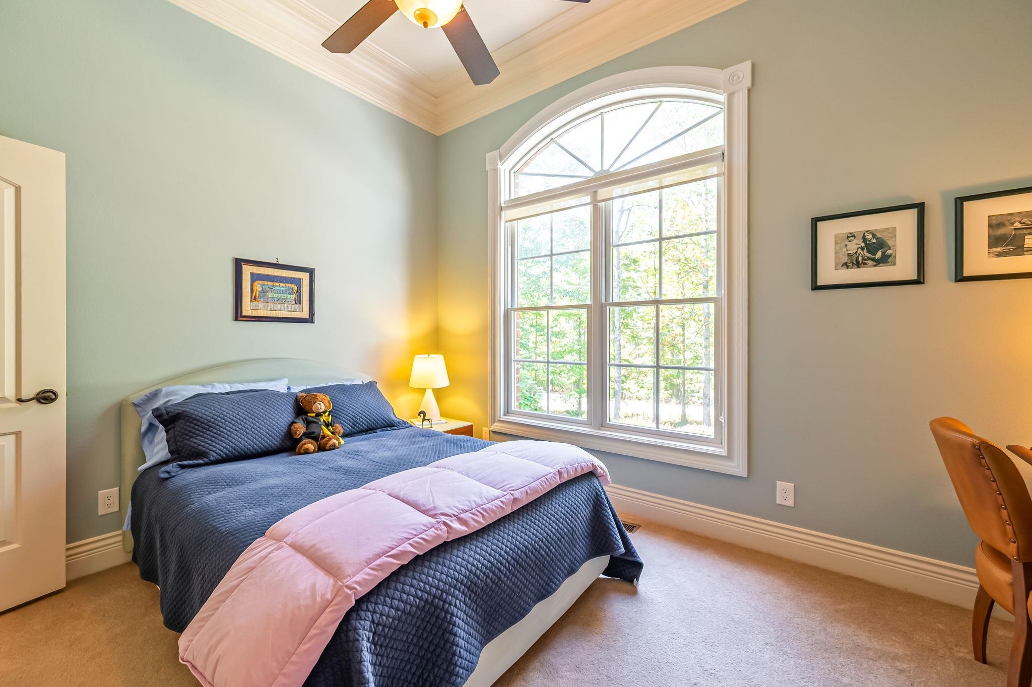 1250 Treetop Ridge Rd Road