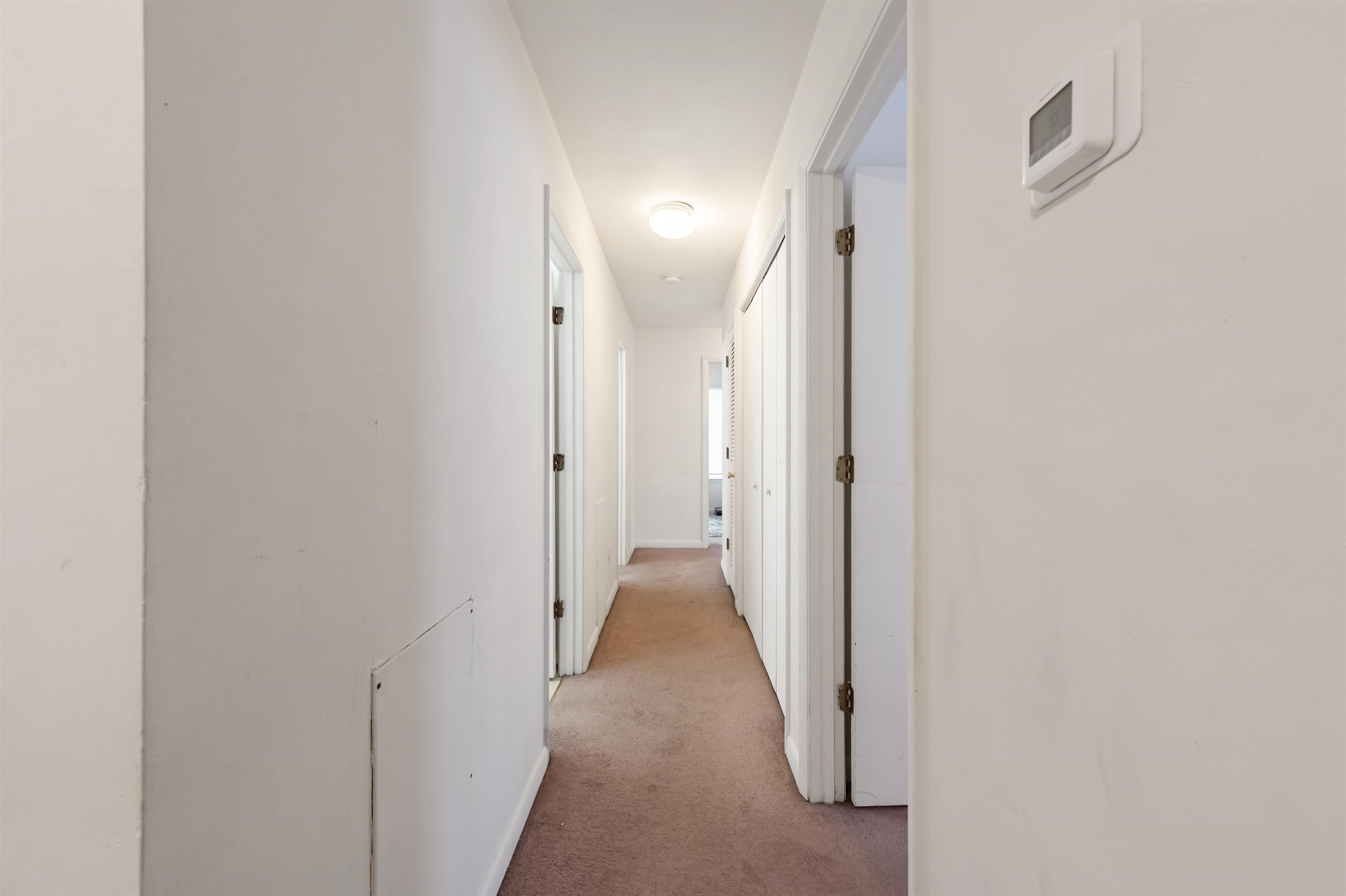 1211 University Terrace Apt D