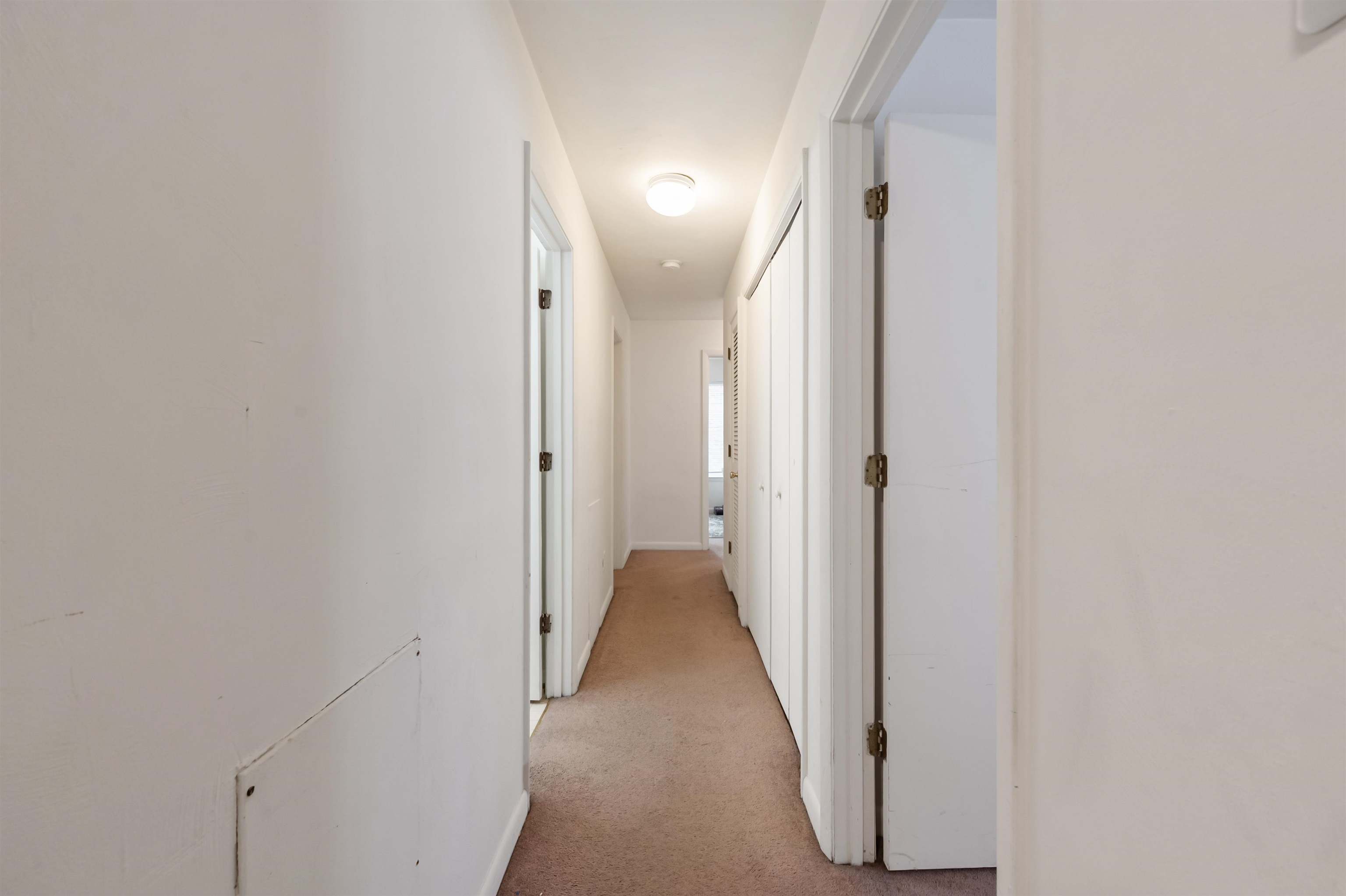 1211 University Terrace Apt D