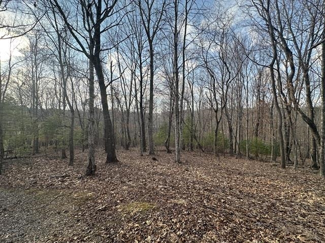 5730 Blue Springs Road
