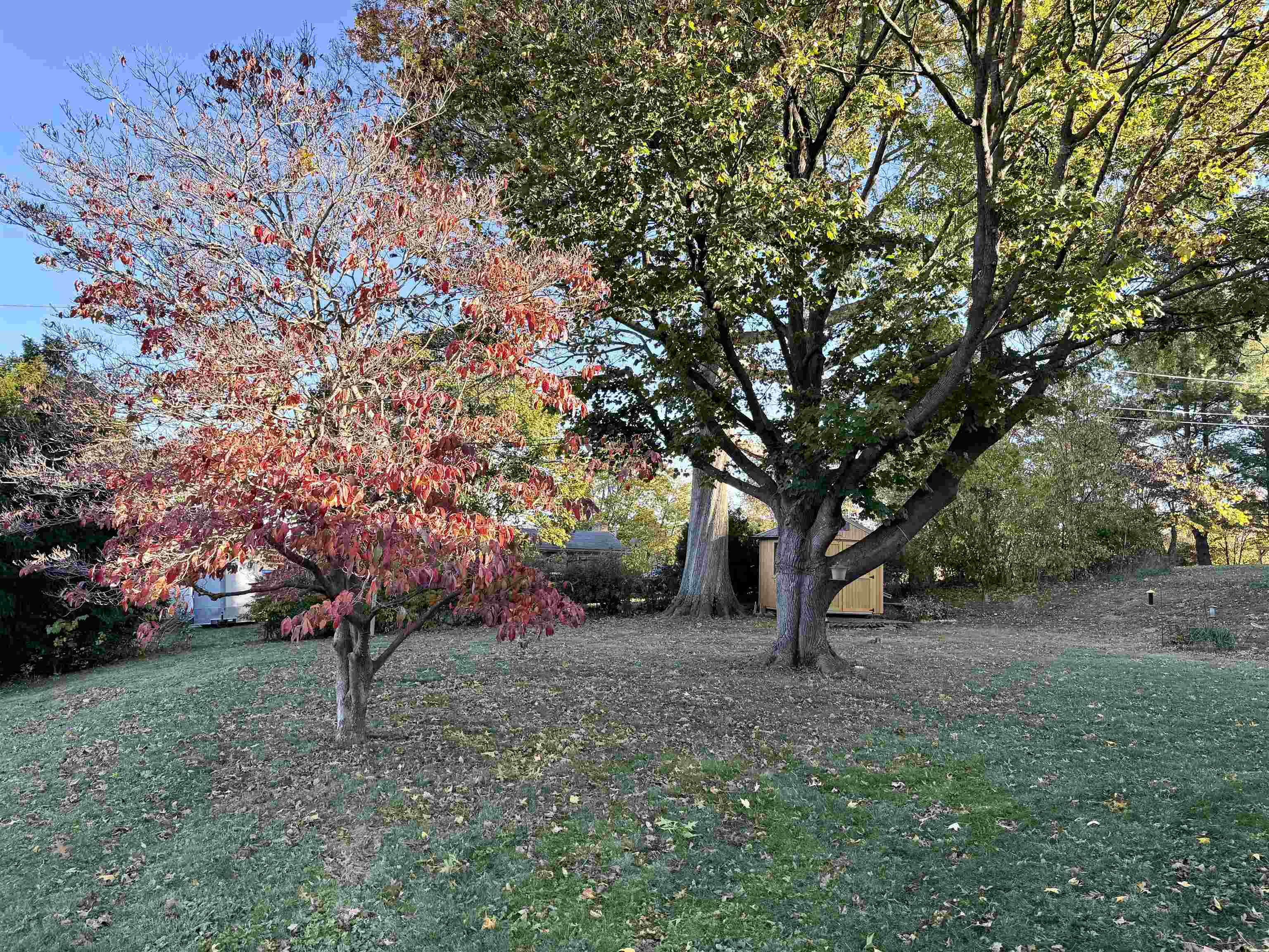 680 Mountainview Drive