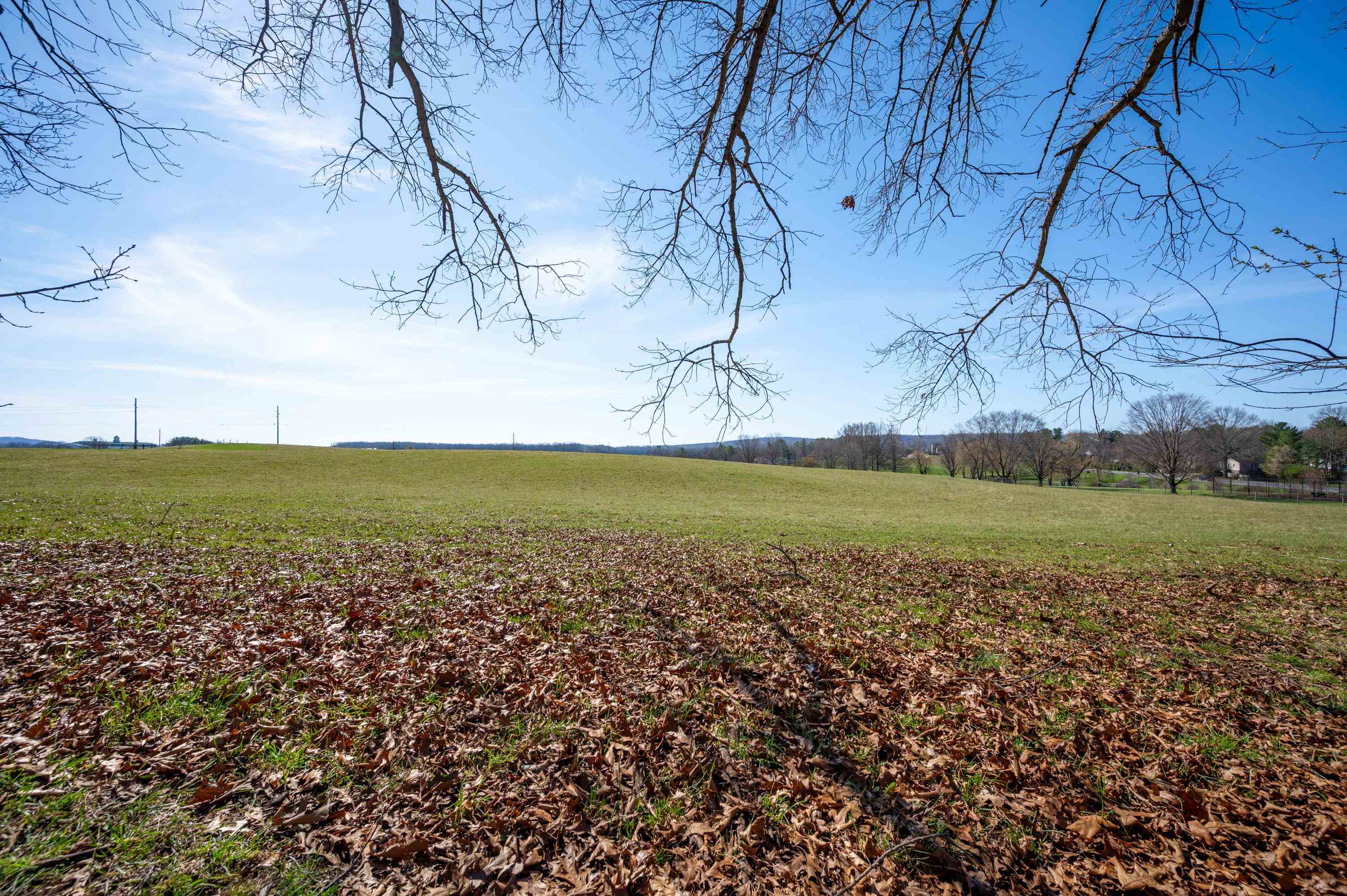 103 Yorkshire Ct Court