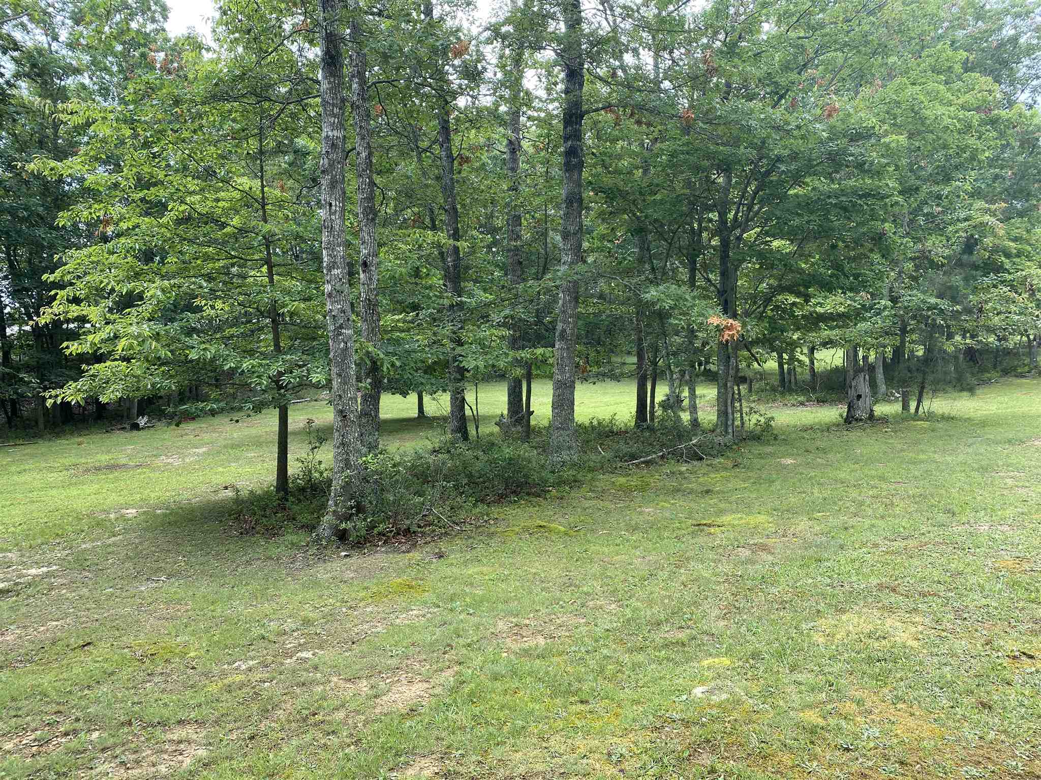 TBD GORDON Drive