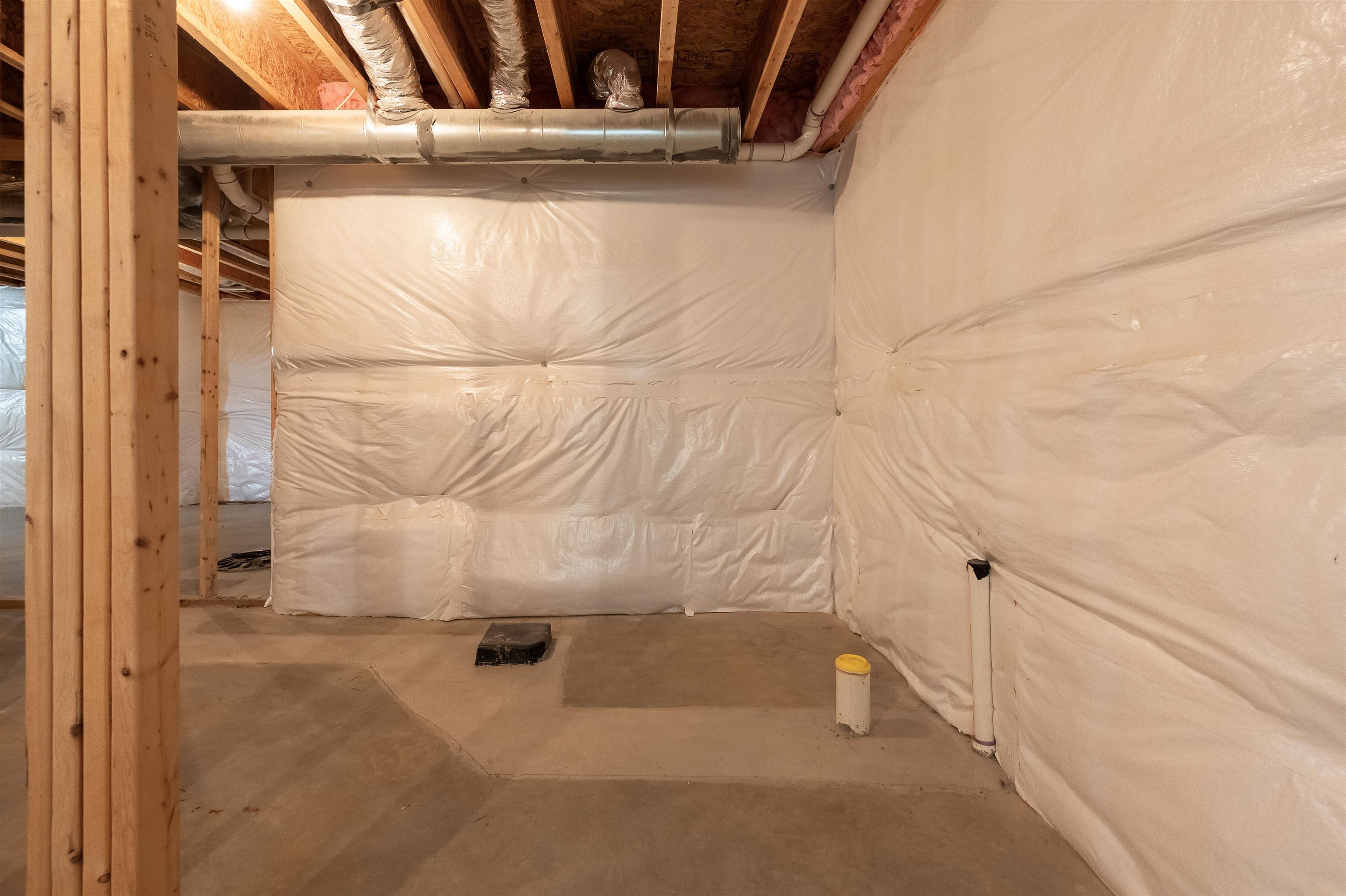 6509 TEETH OF THE DOG Drive