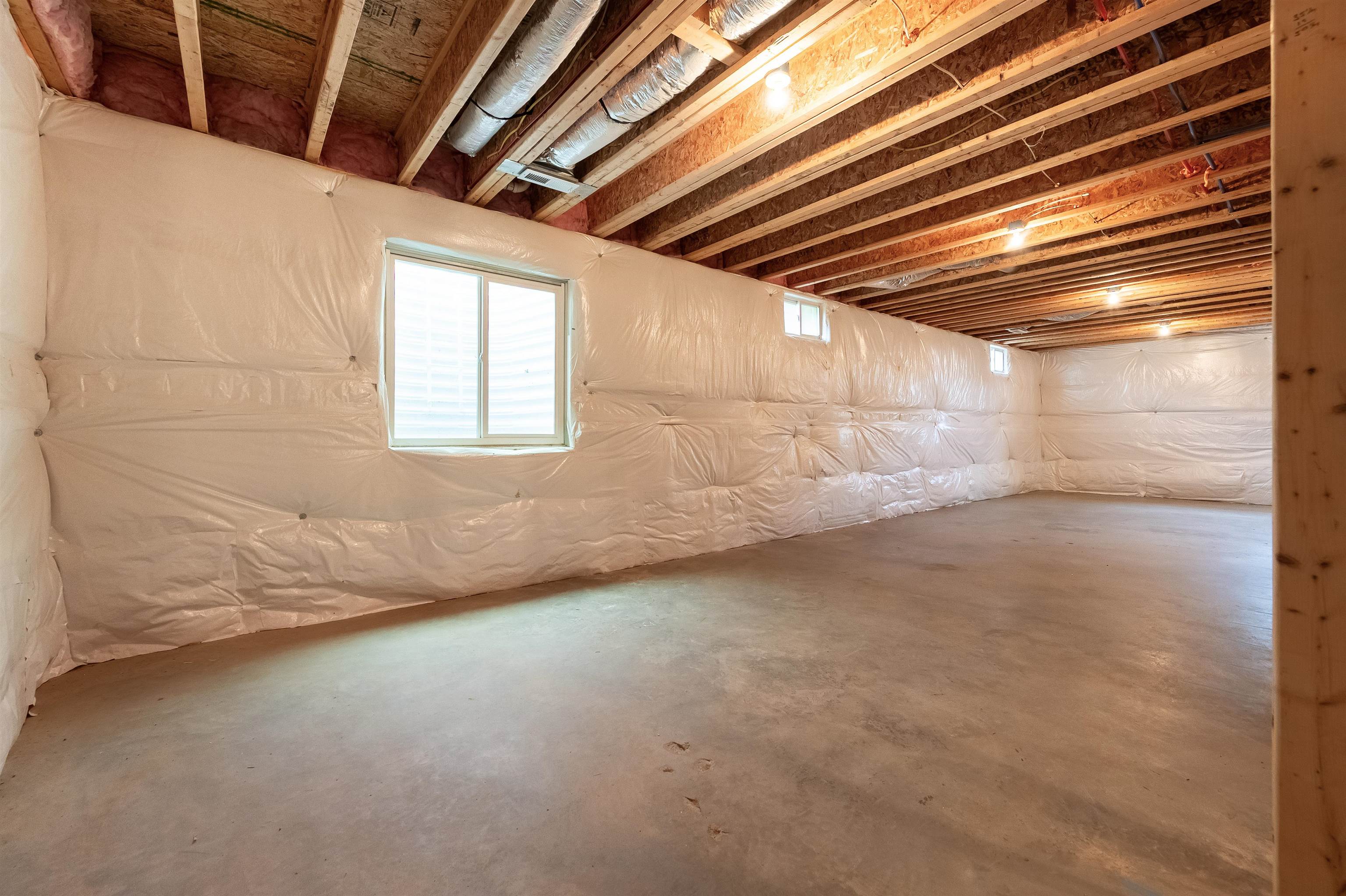 6509 TEETH OF THE DOG Drive