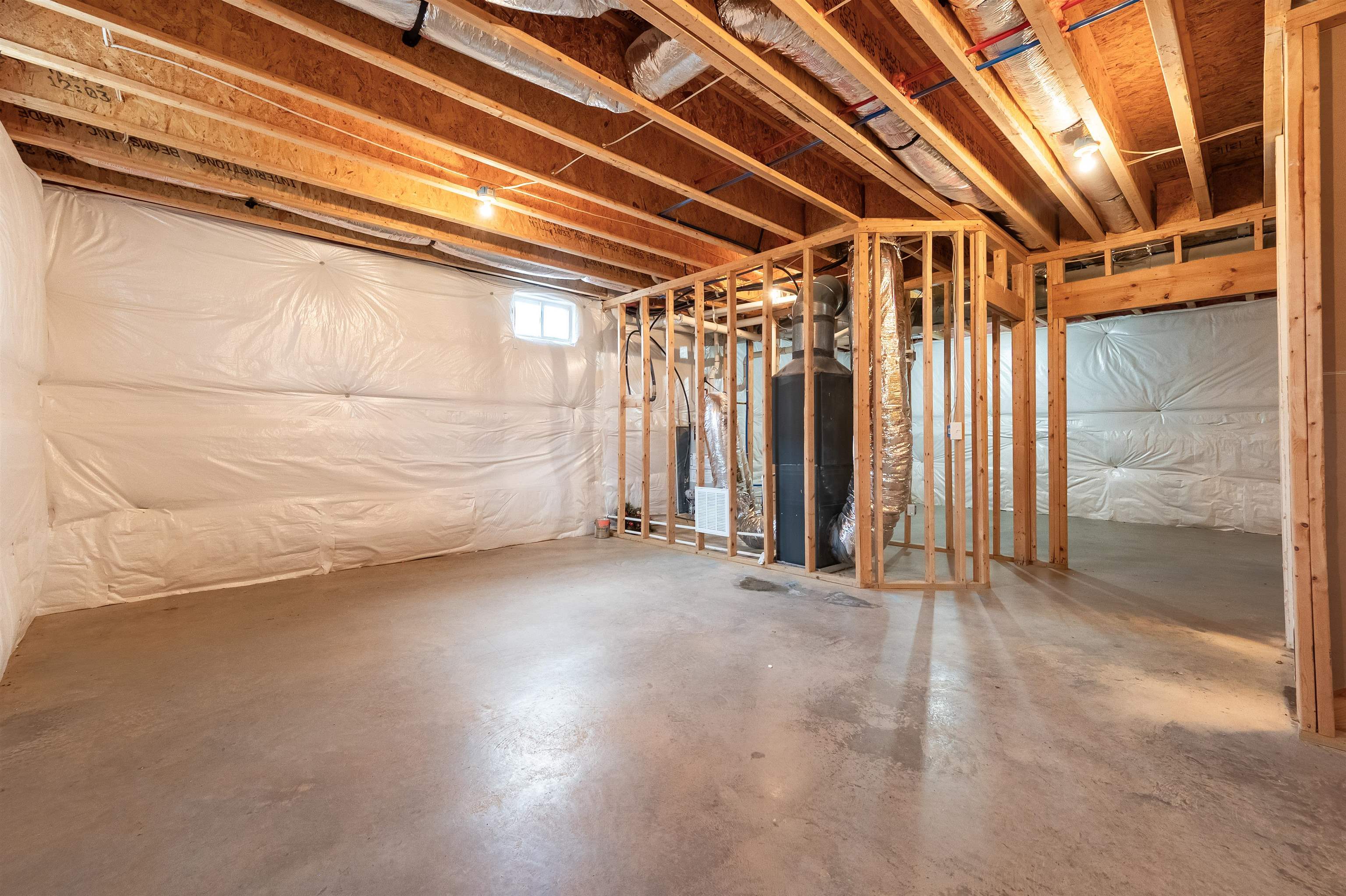 6509 TEETH OF THE DOG Drive