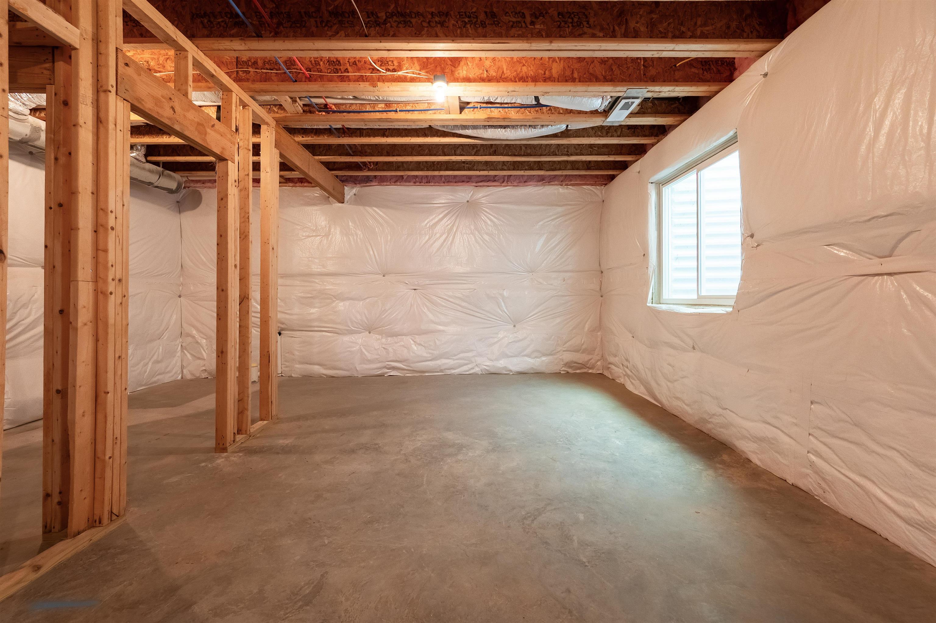 6509 TEETH OF THE DOG Drive