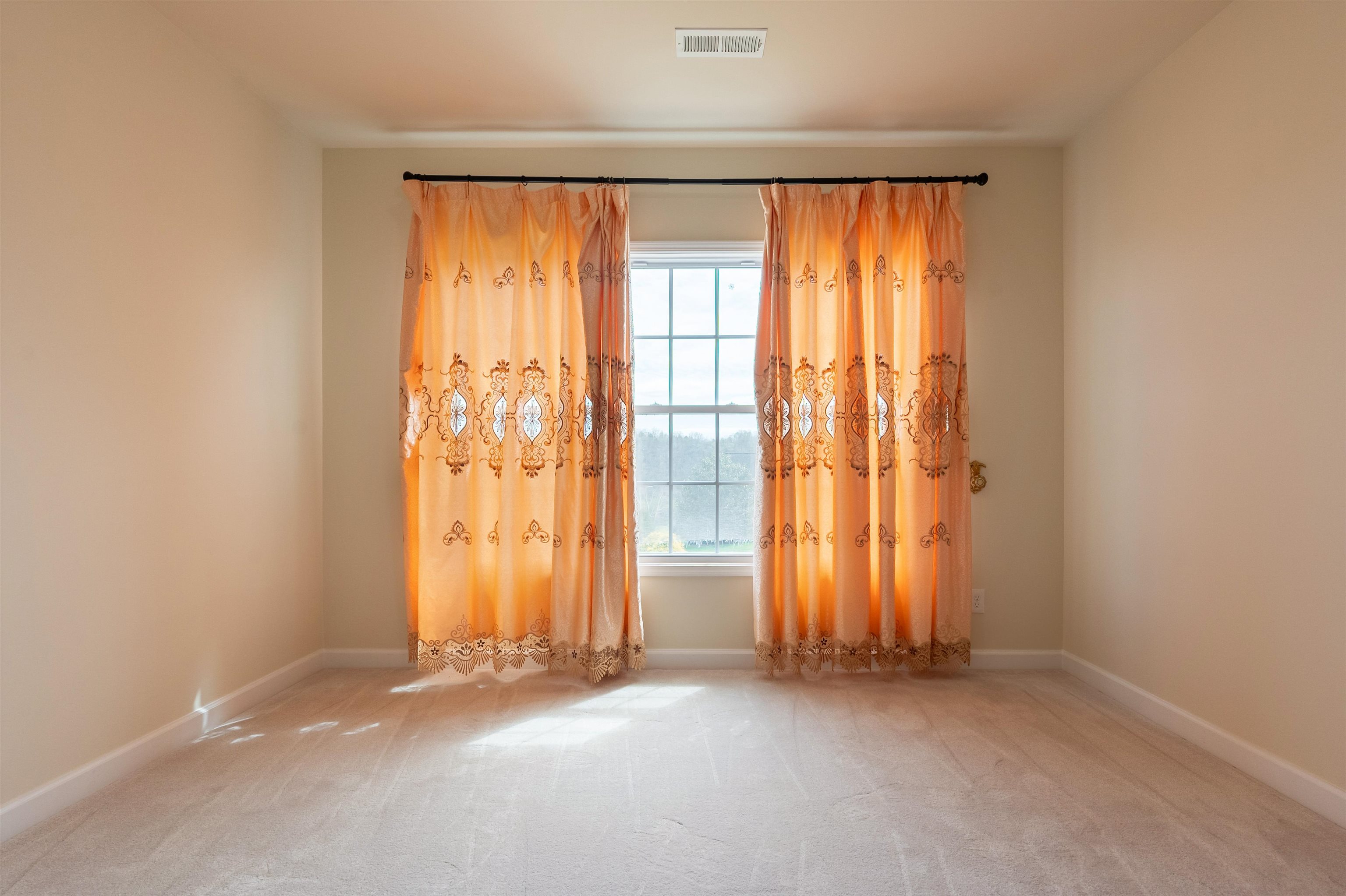 6509 TEETH OF THE DOG Drive