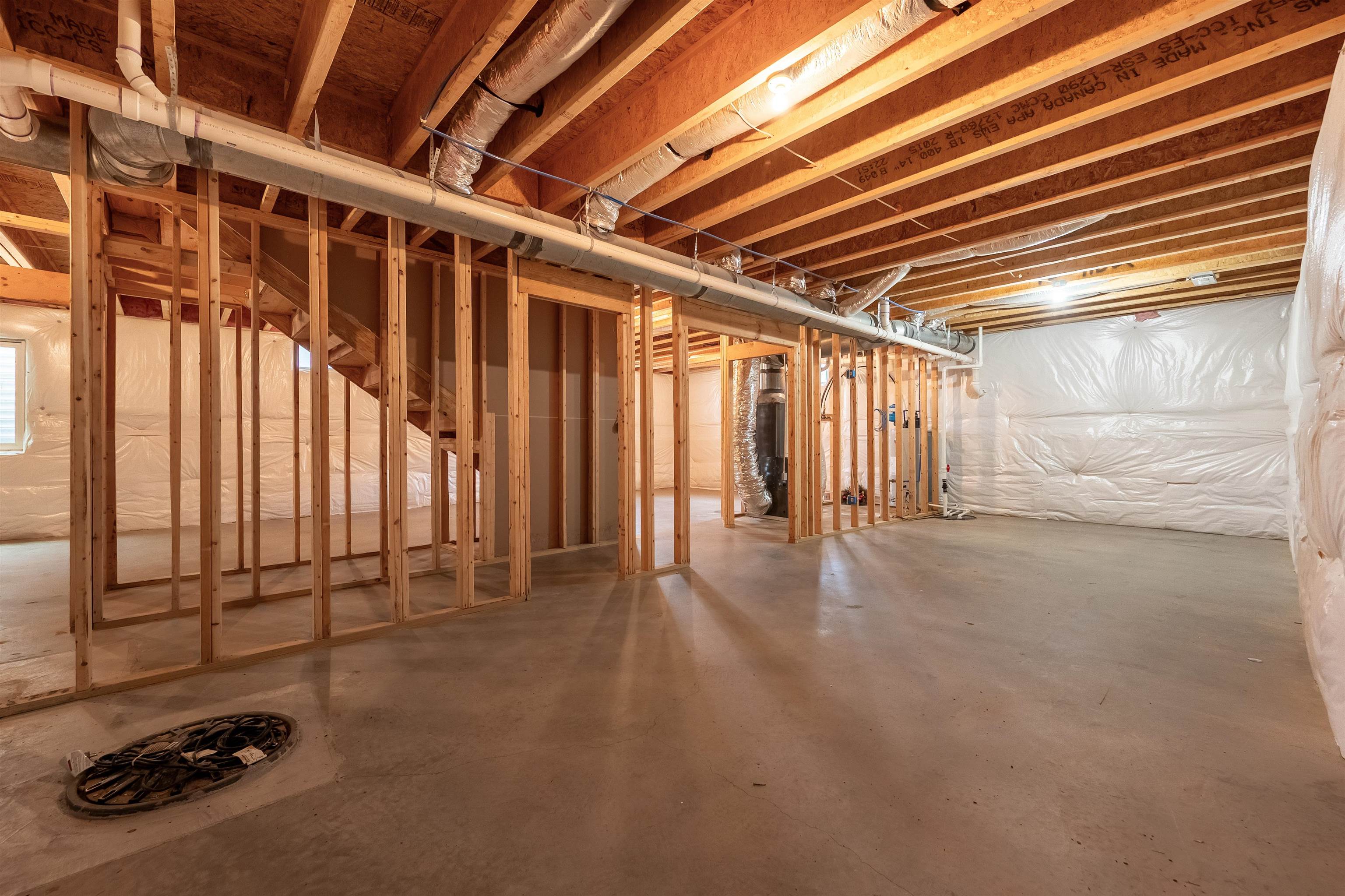 6509 TEETH OF THE DOG Drive