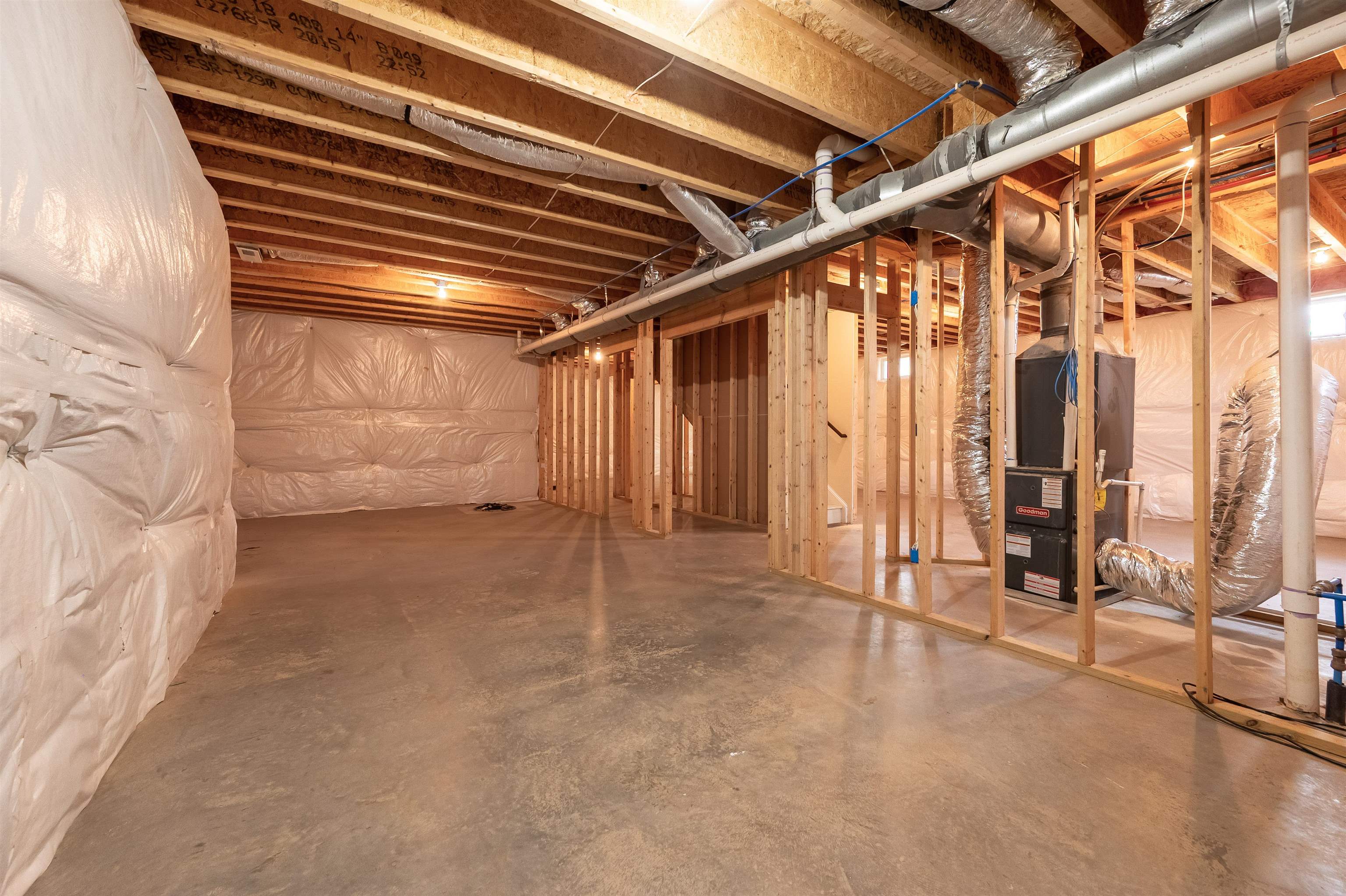 6509 TEETH OF THE DOG Drive