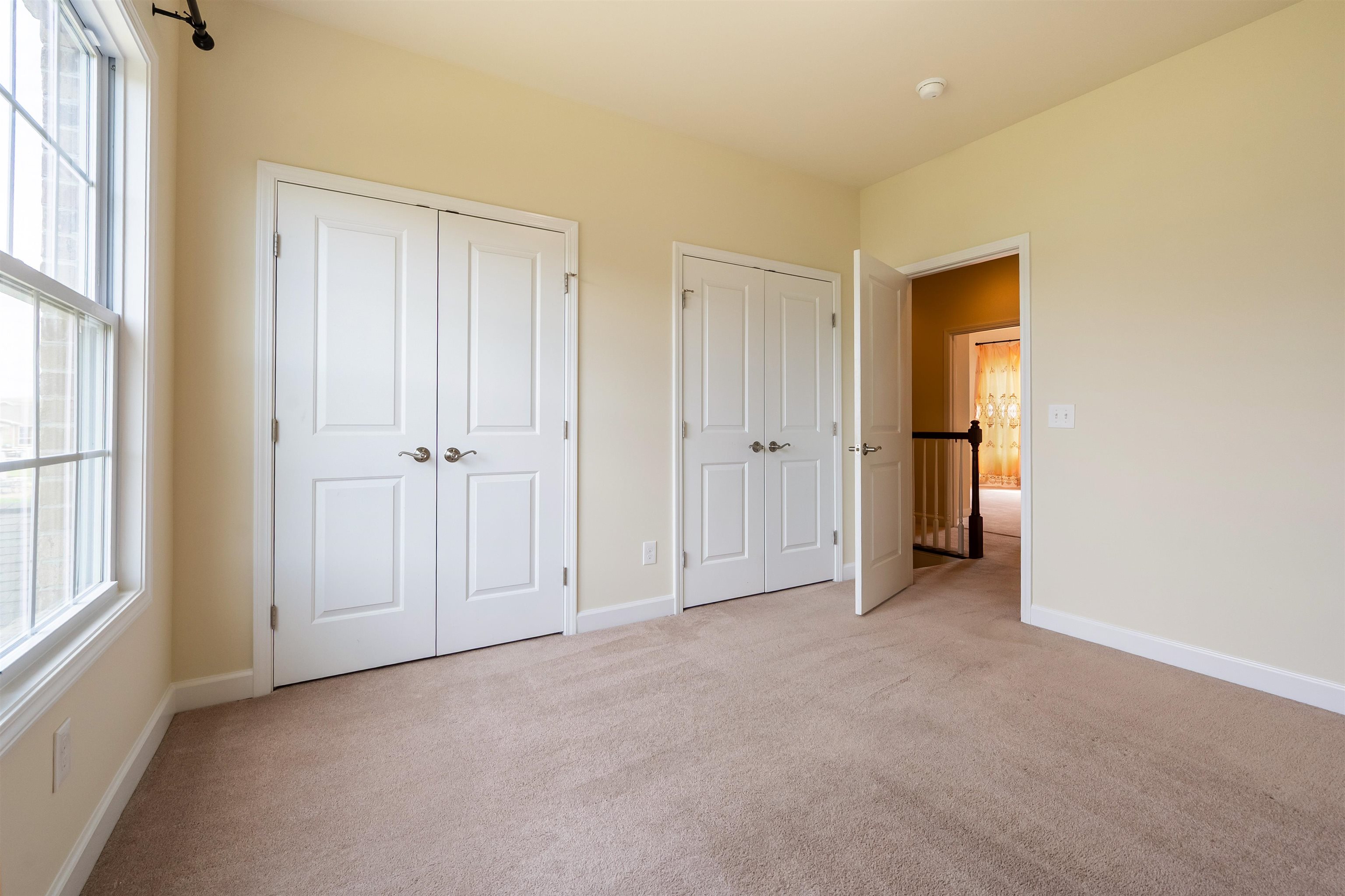 6509 TEETH OF THE DOG Drive