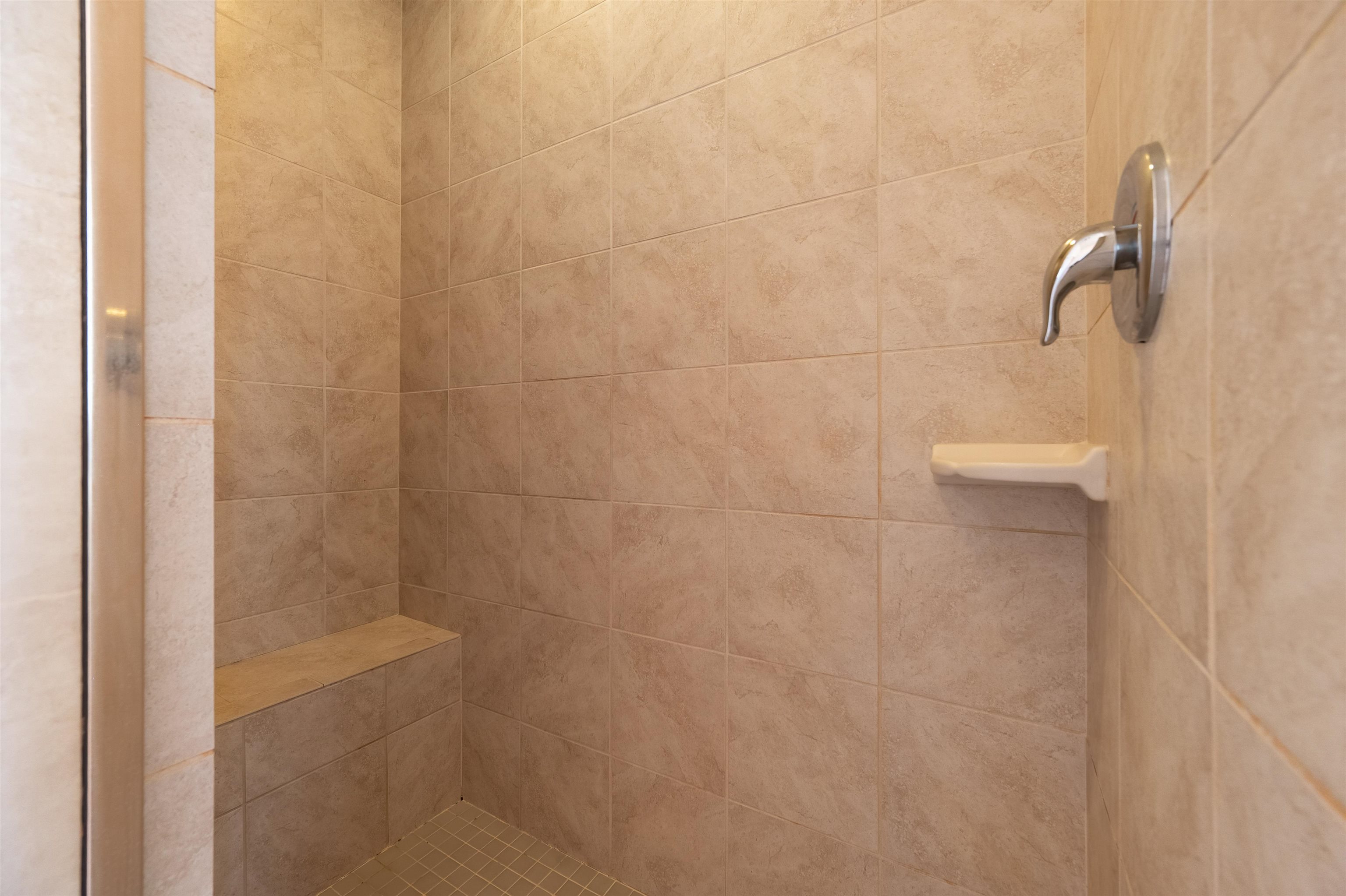 6509 TEETH OF THE DOG Drive