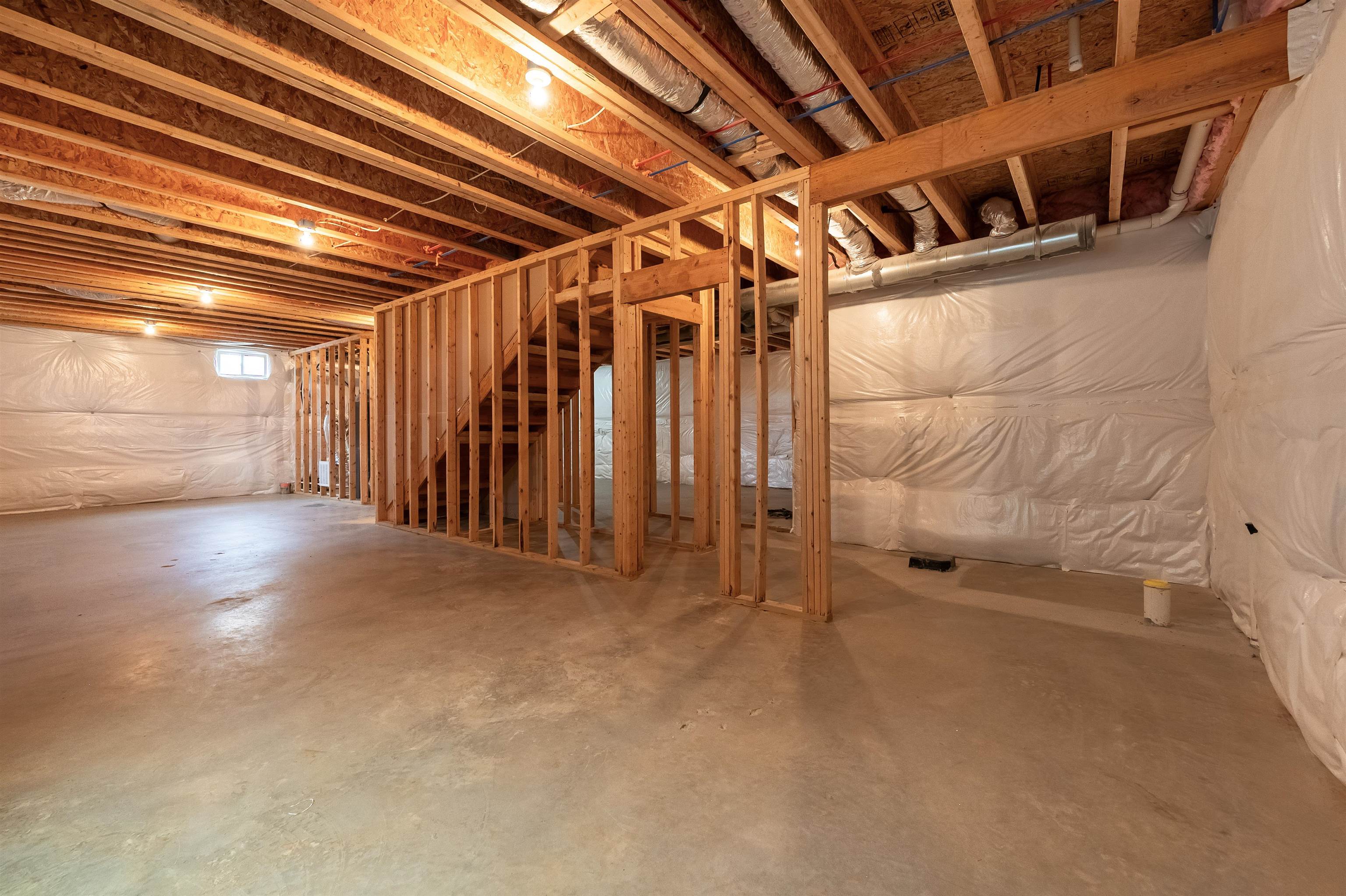 6509 TEETH OF THE DOG Drive