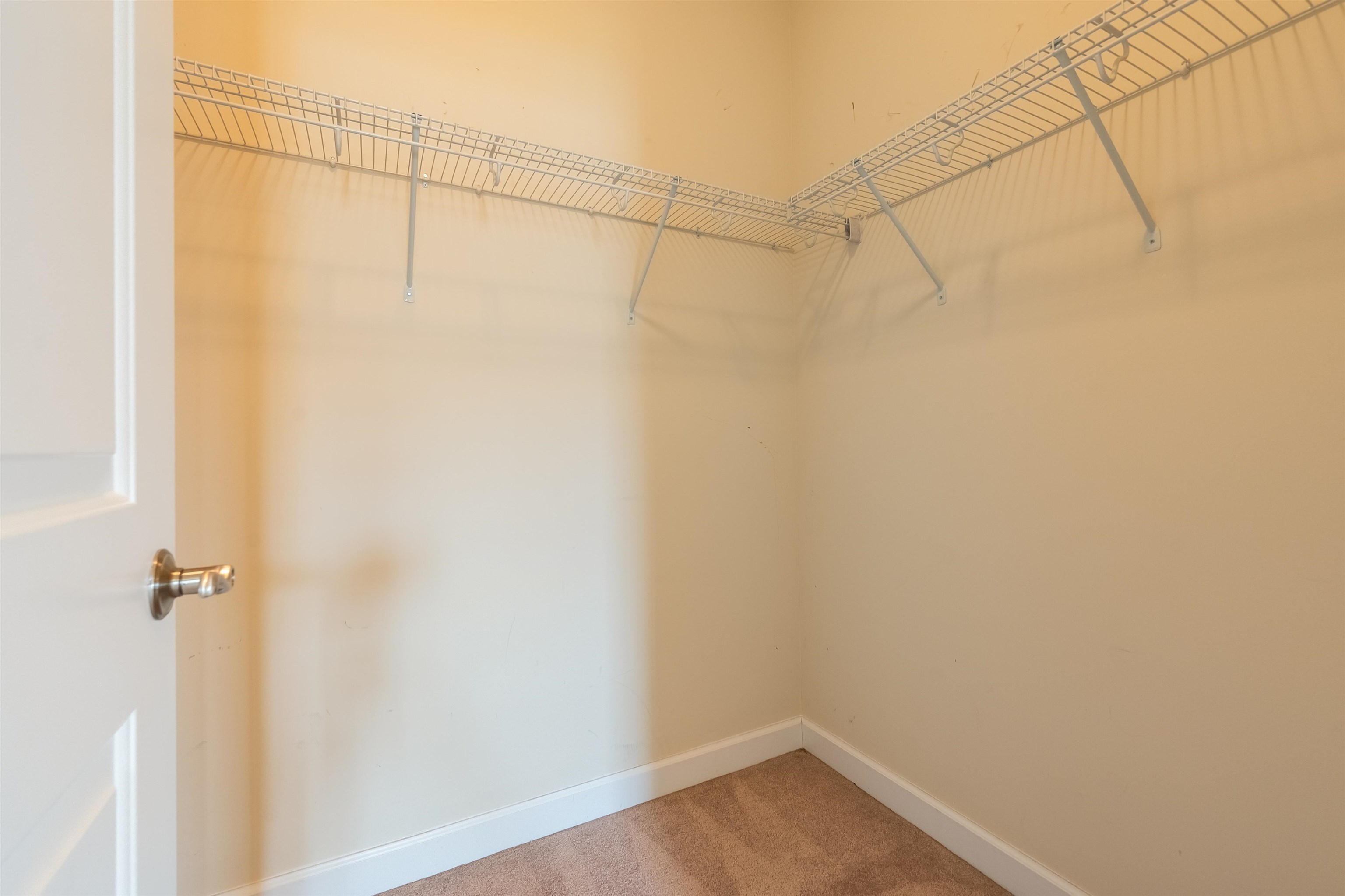 6509 TEETH OF THE DOG Drive