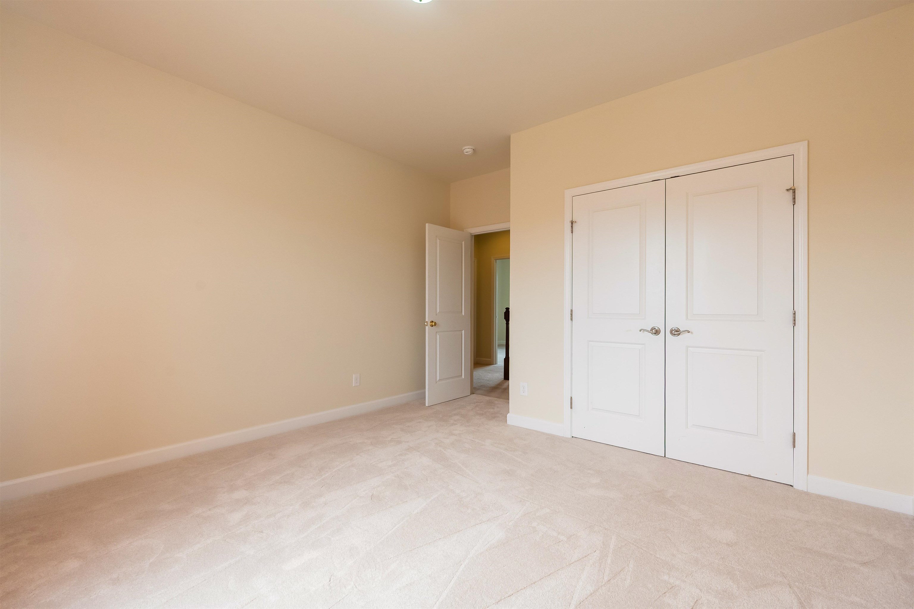 6509 TEETH OF THE DOG Drive