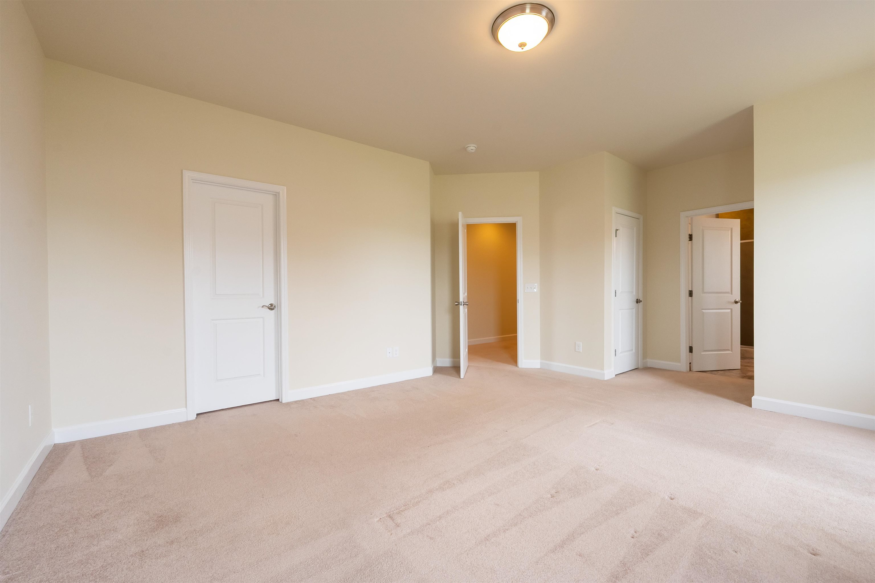 6509 TEETH OF THE DOG Drive