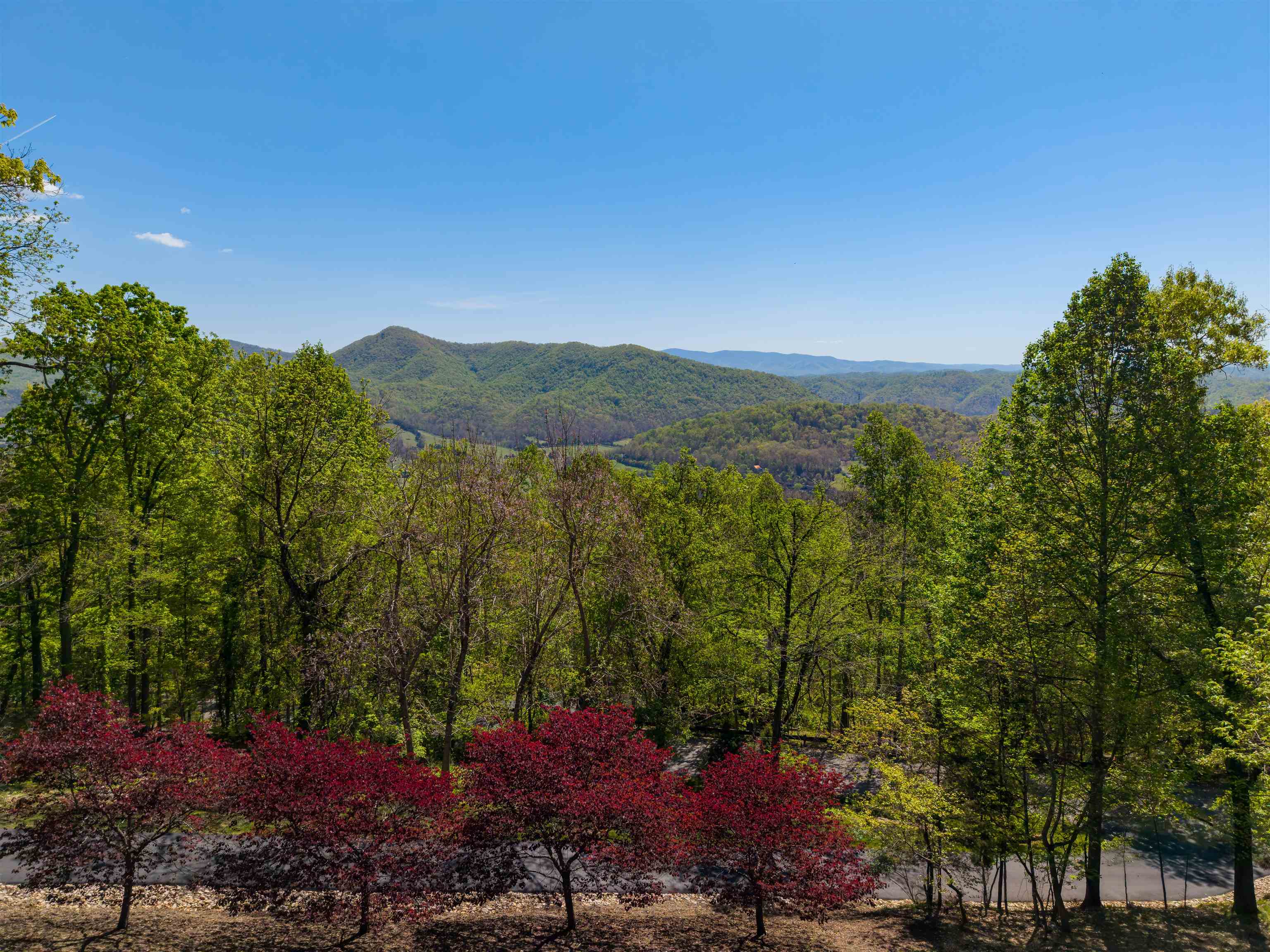 1345 Falcon Ridge Road