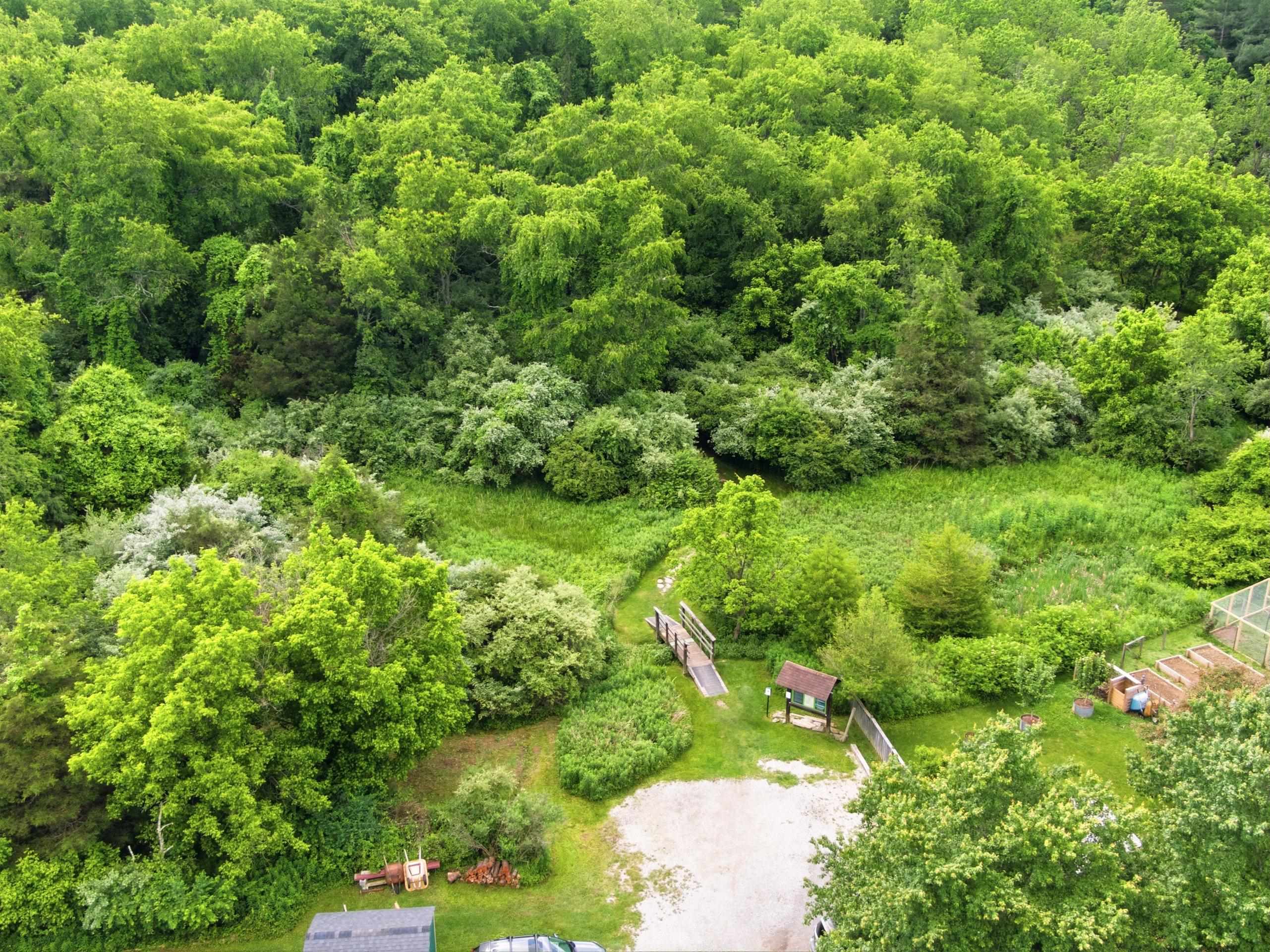 1337 Mockingbird Drive
