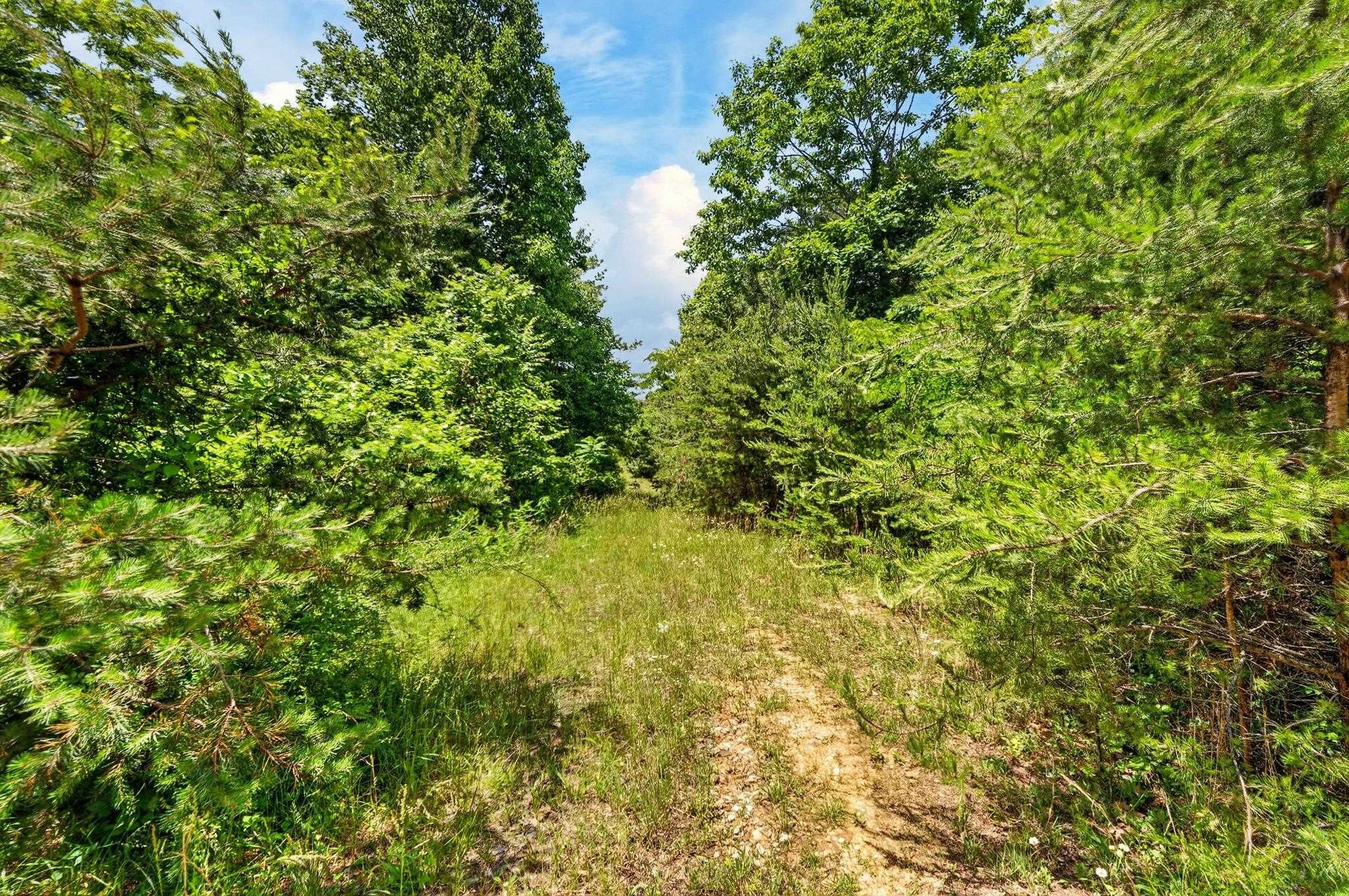 TBD 50 Acres Thunderstruck Road NE