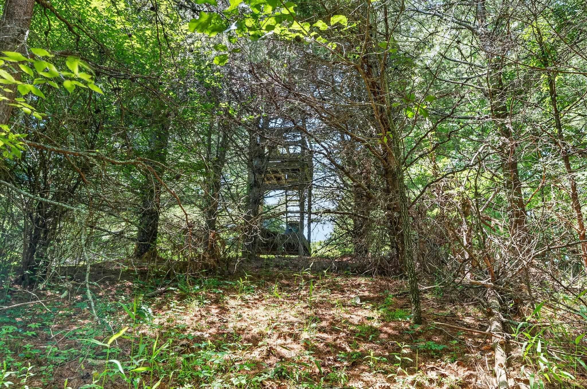 TBD 50 Acres Thunderstruck Road NE