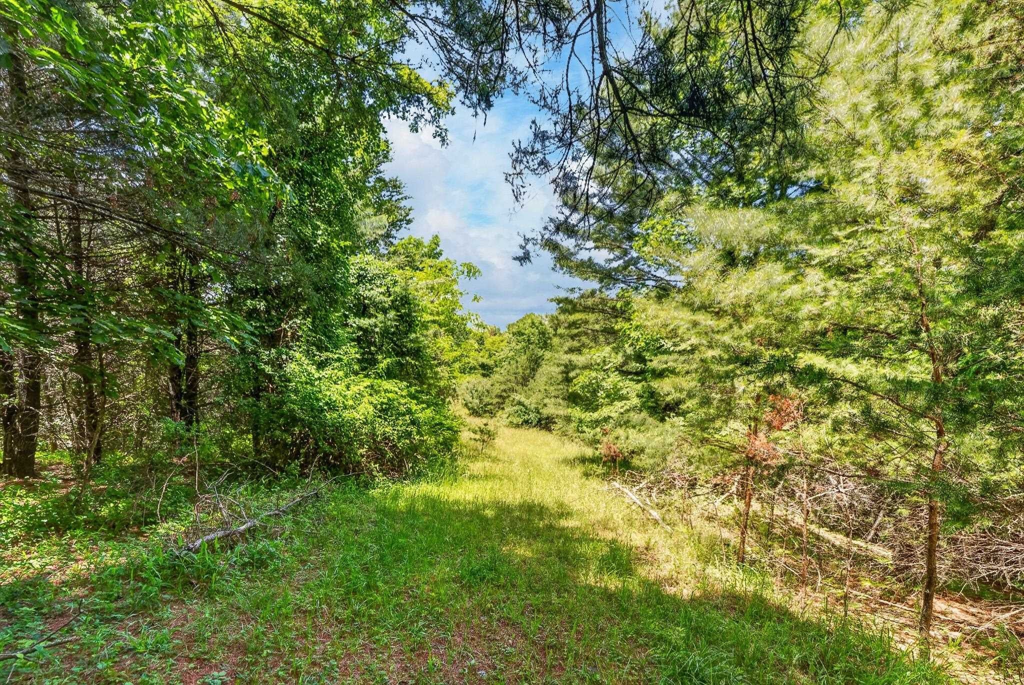 TBD 50 Acres Thunderstruck Road NE