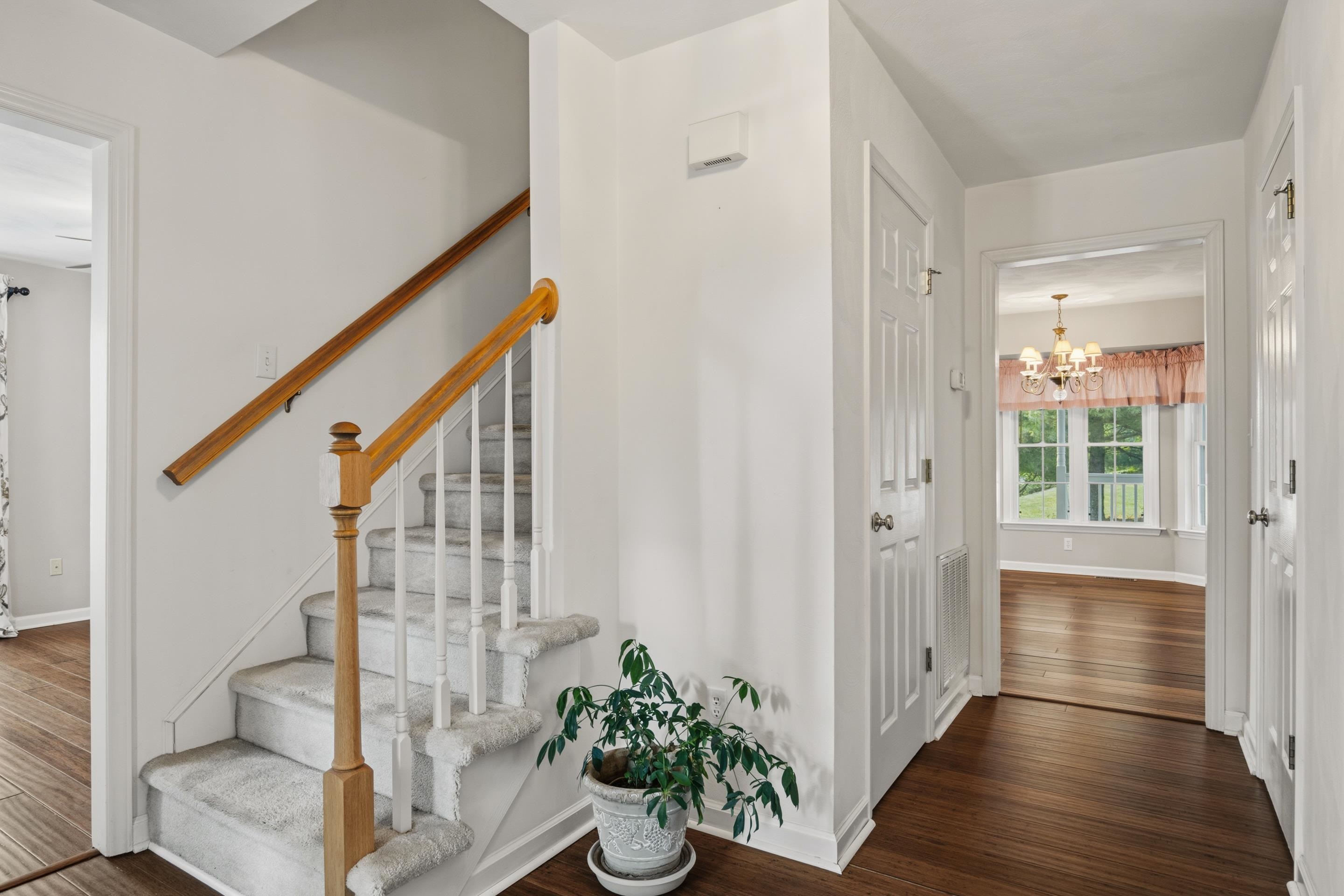 55 Sapphire Avenue