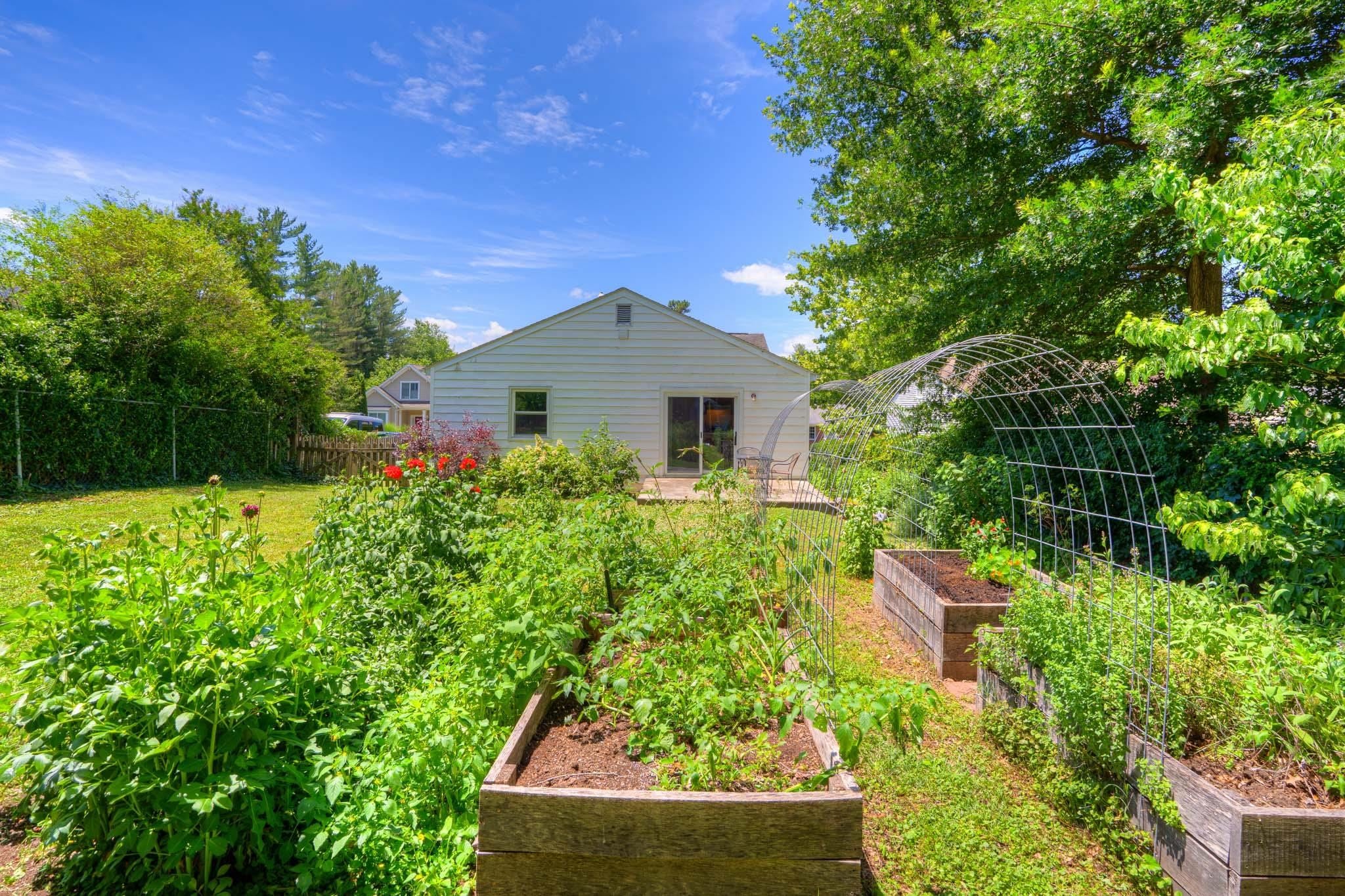 1113 Palmer Drive