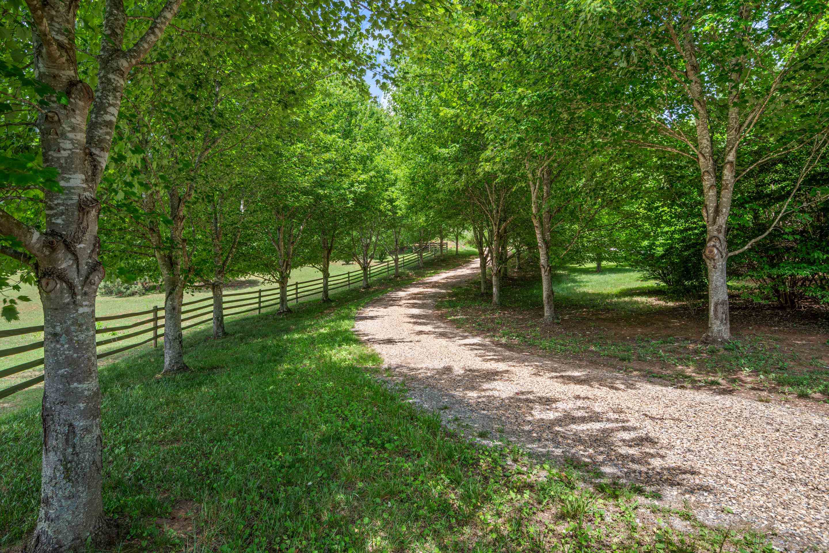 740 Cumberland Gap Road