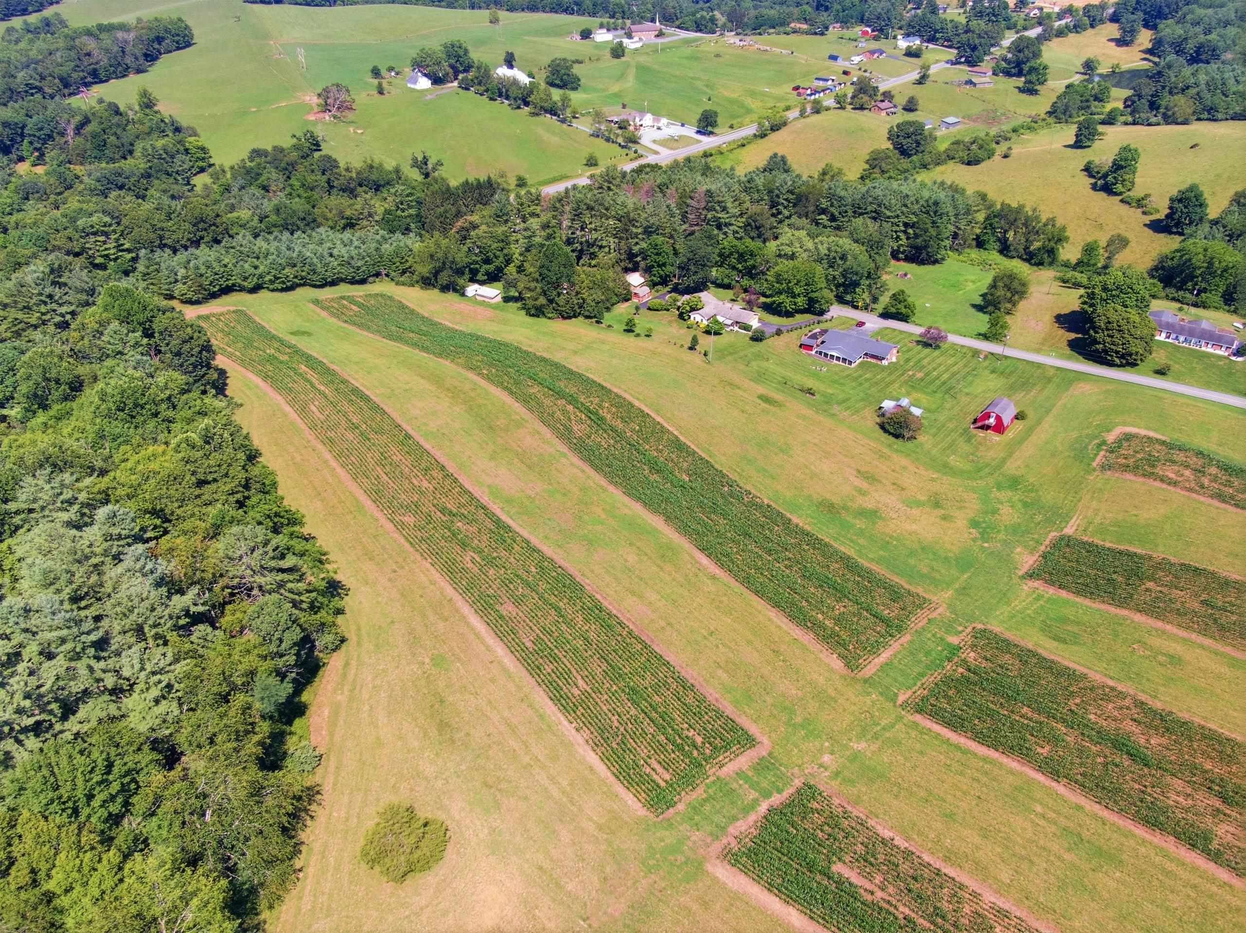 TBD Ridgeview Road