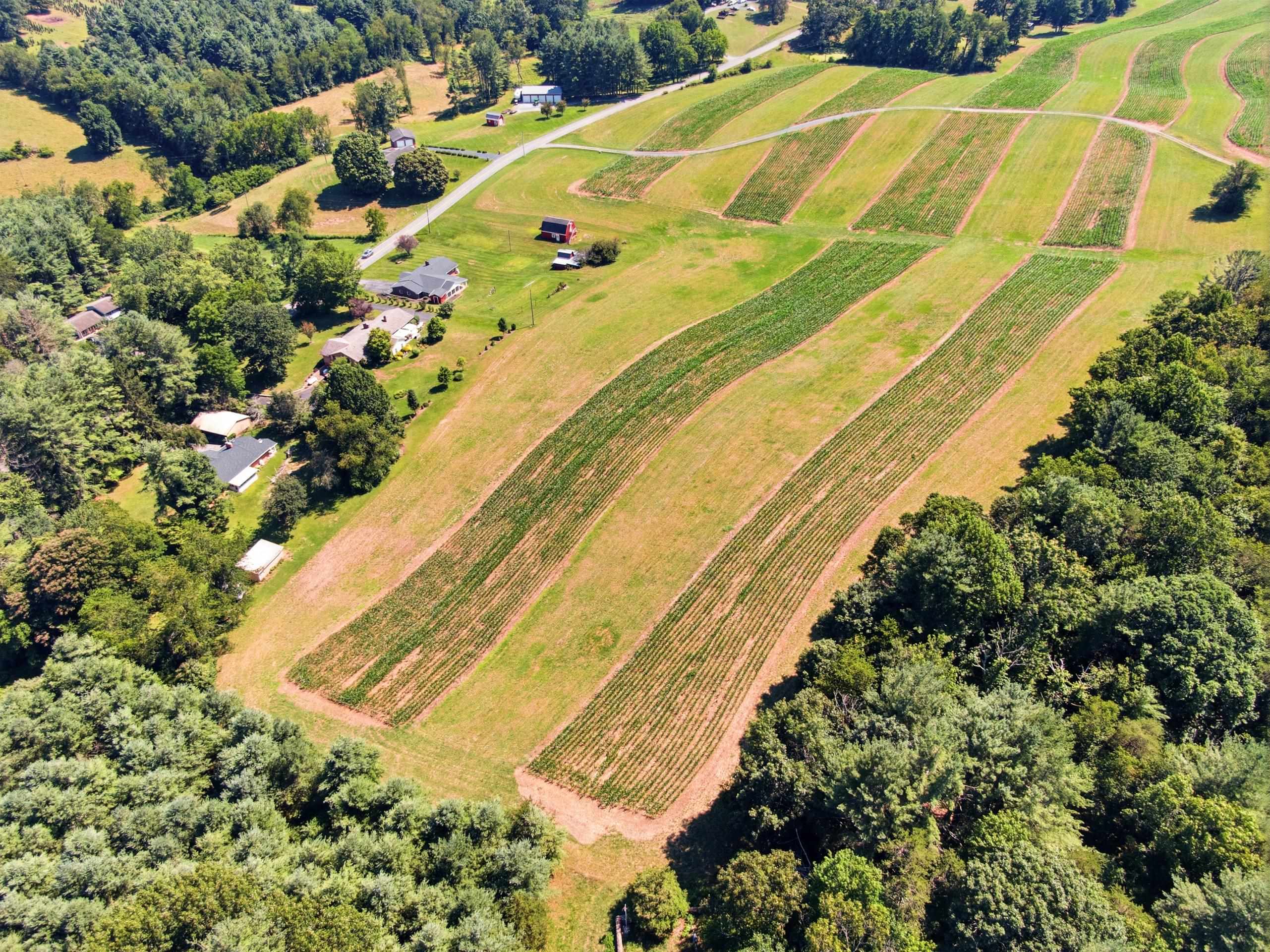 TBD Ridgeview Road