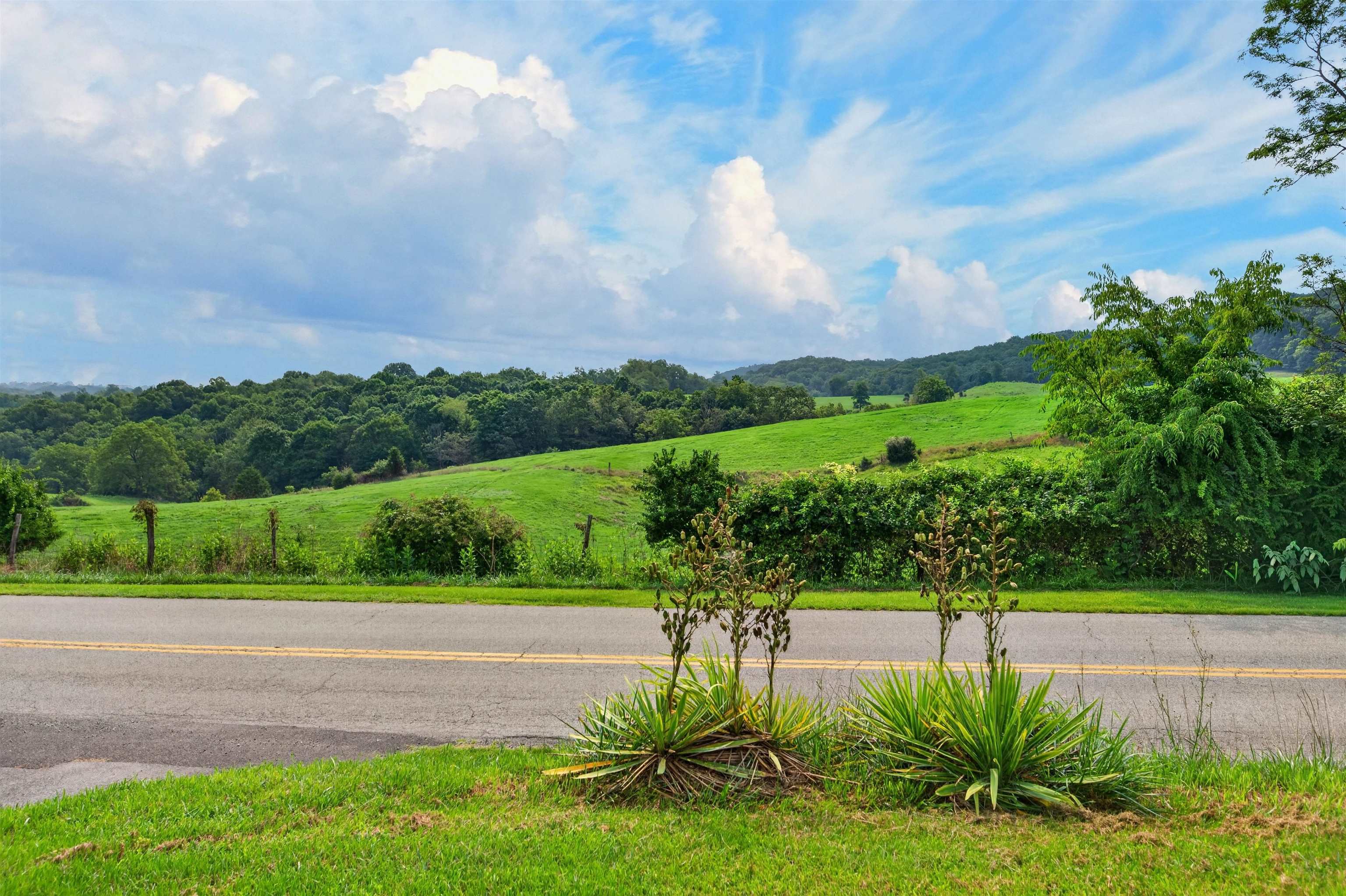 867 Switchback Road