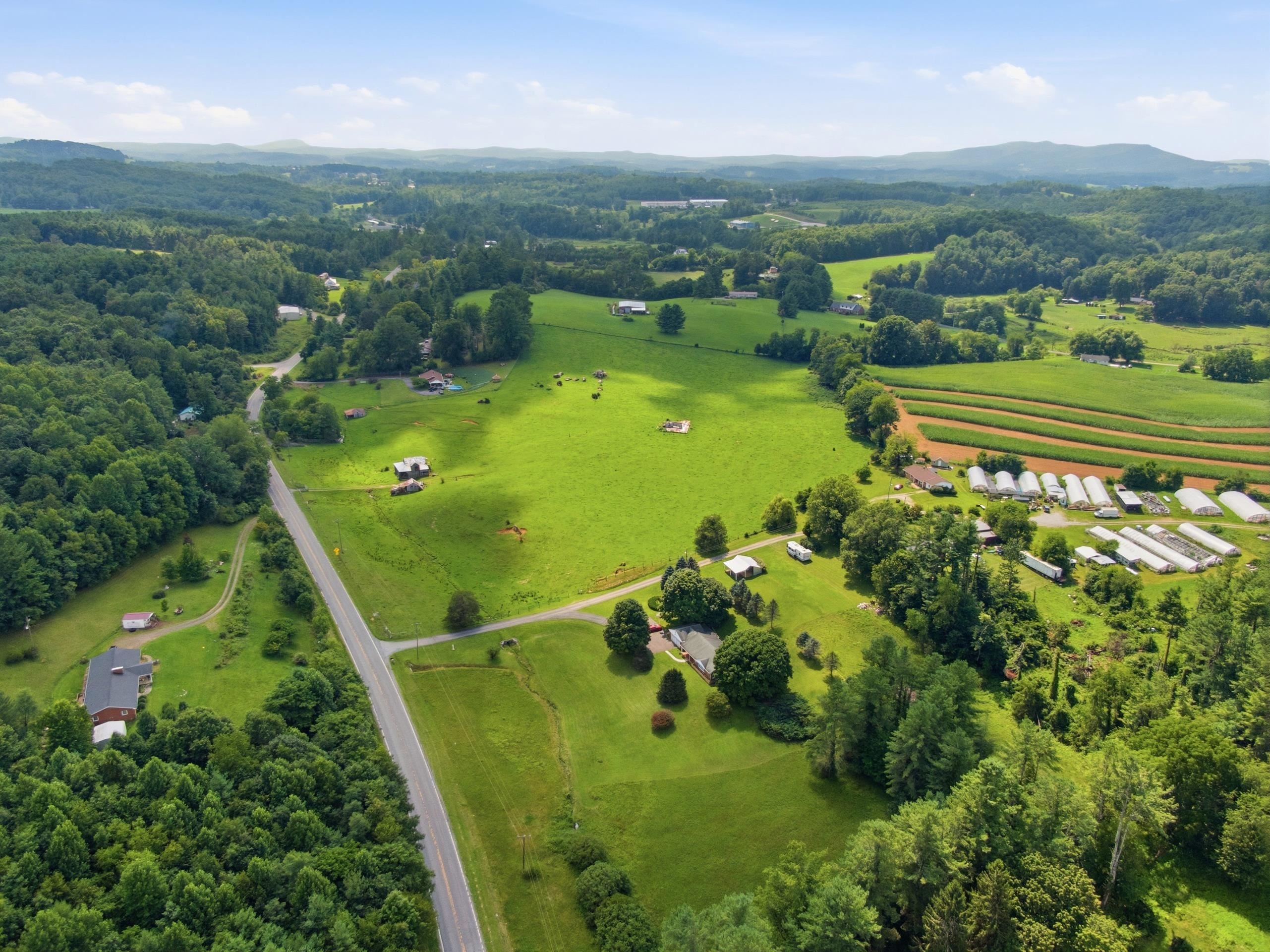 117 White Pine Lane