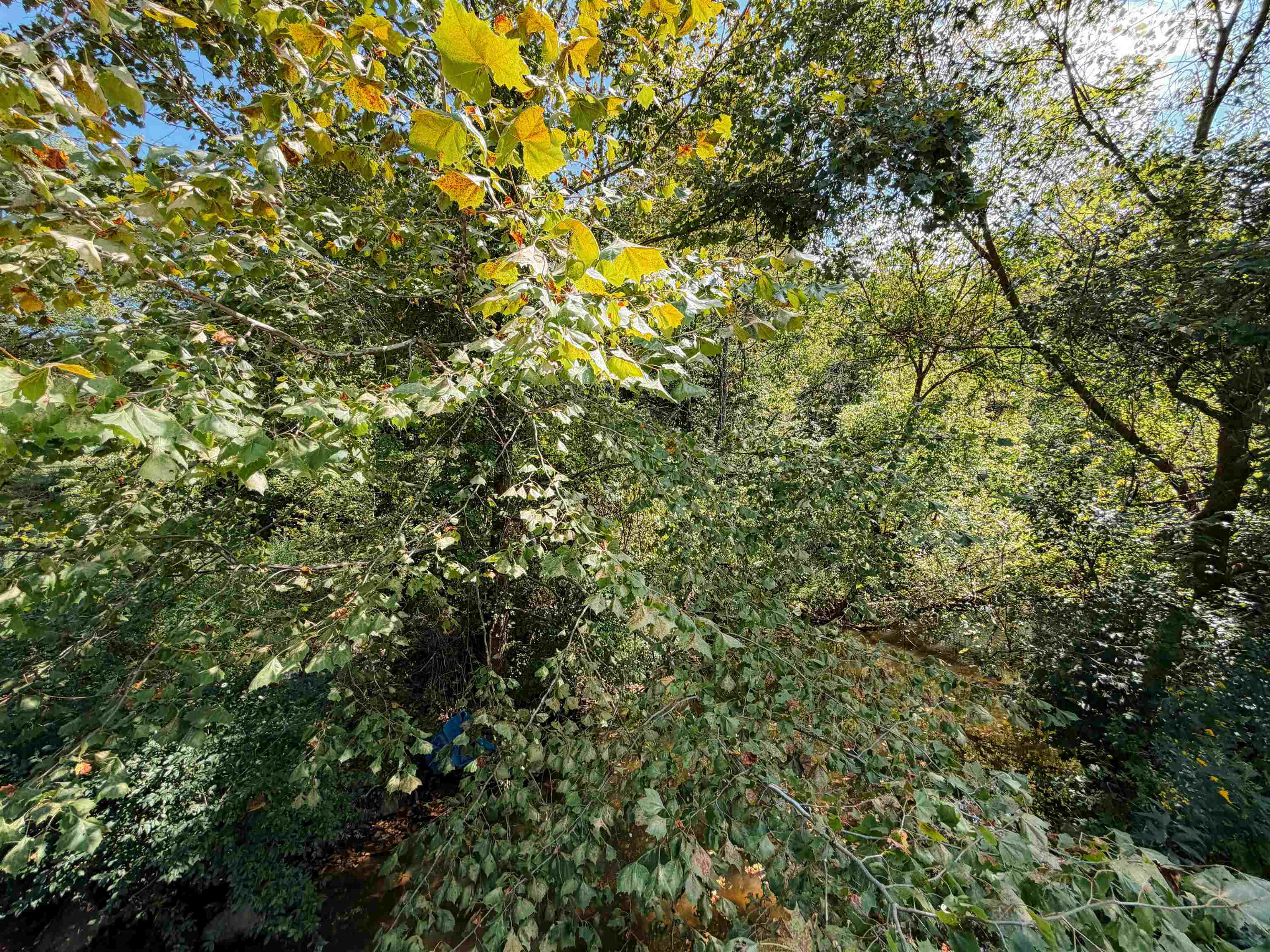 3520 Mount Zion Road