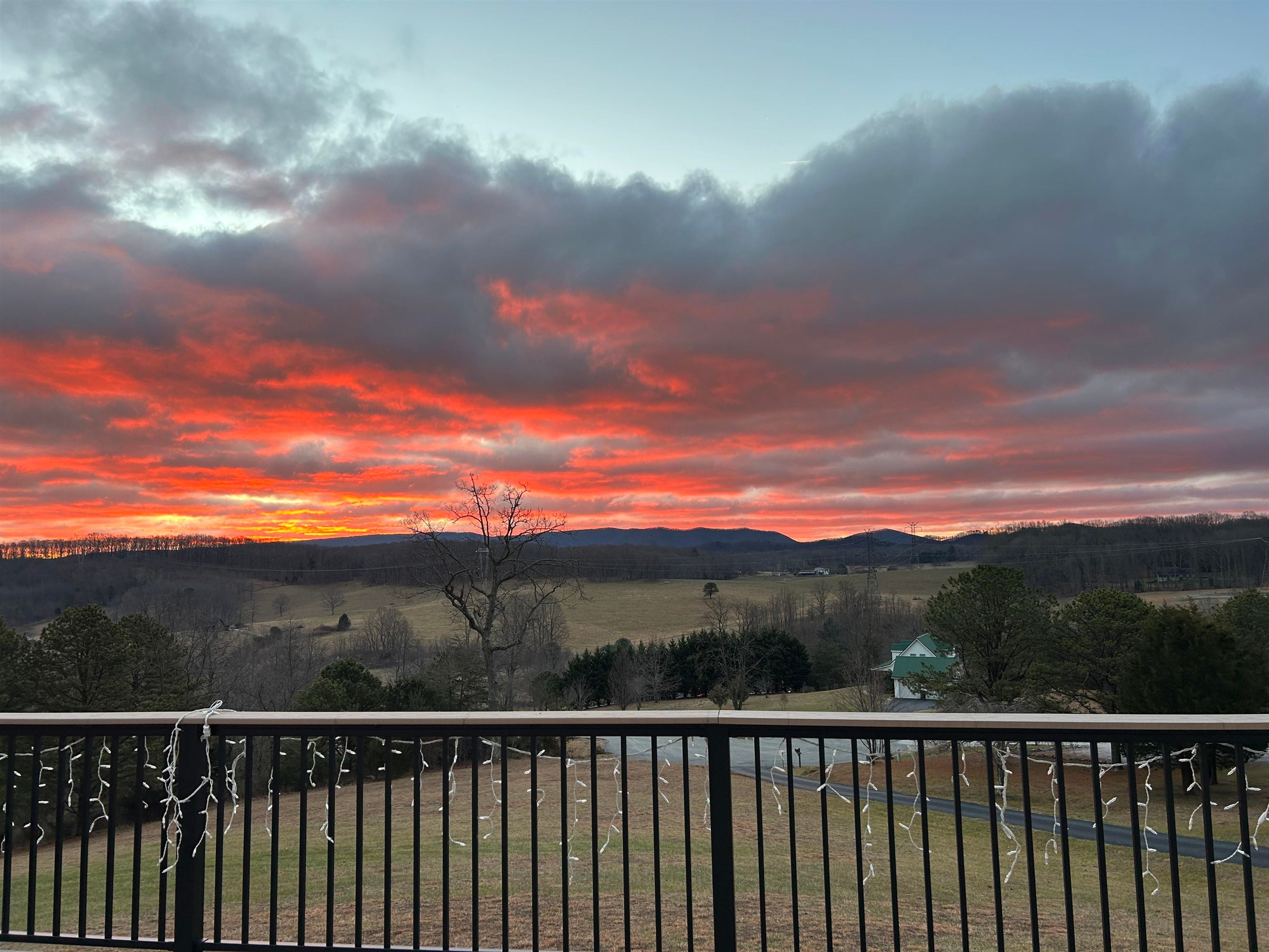 8261 Filly Court