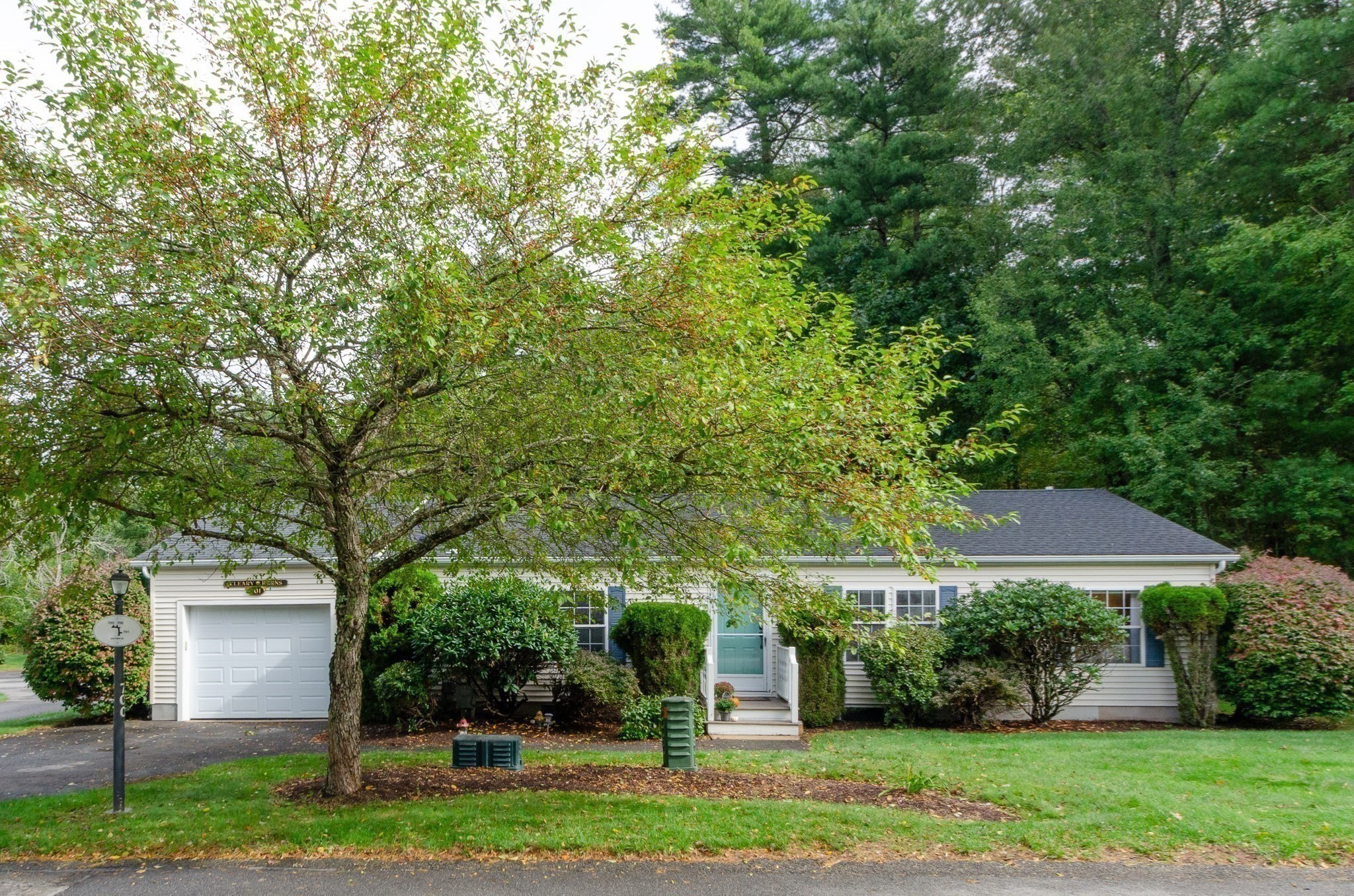 Single-story white home with an attached garage and blue front door, partly screened by a large tree.