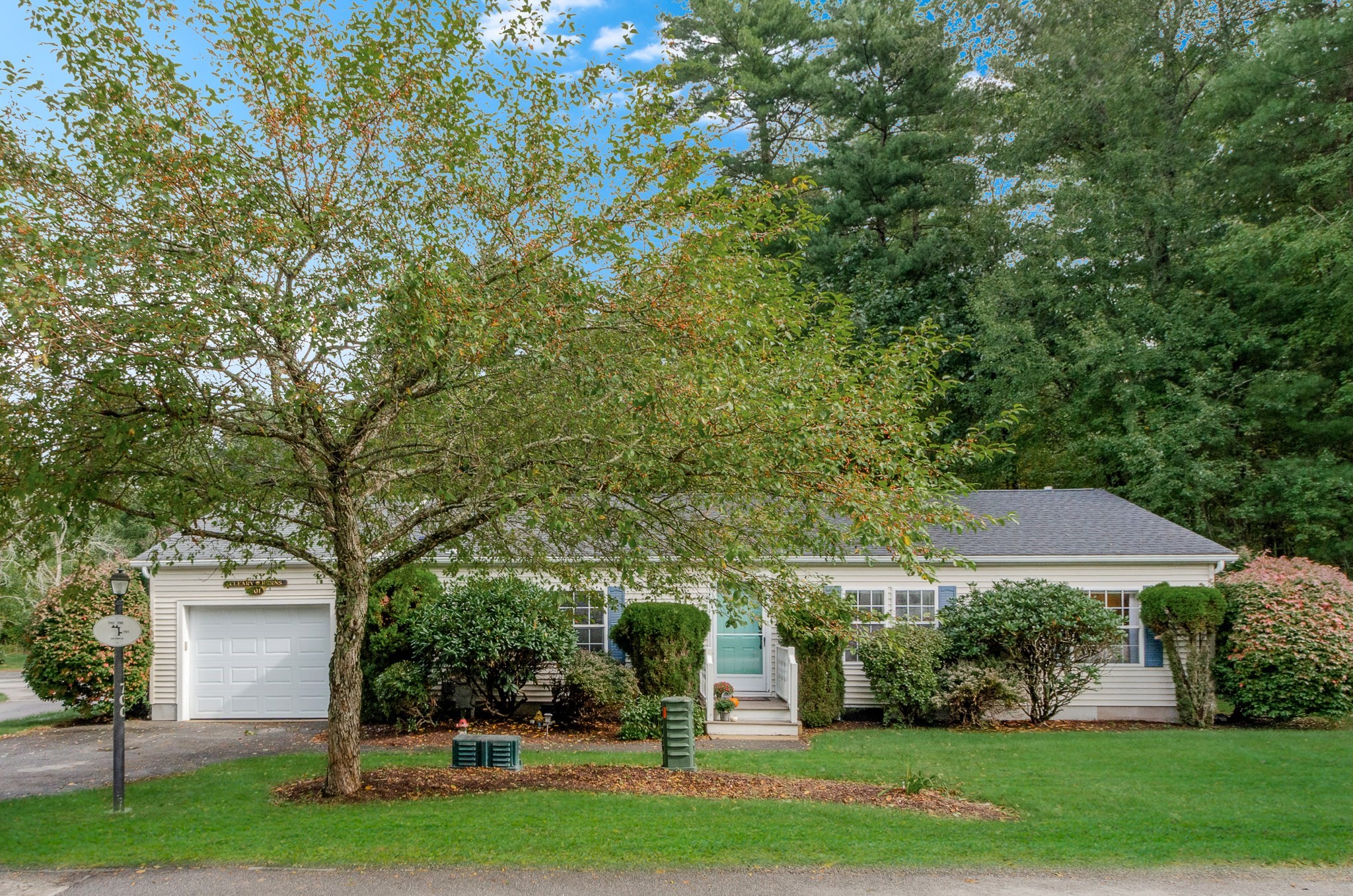 Single-story home with an attached garage, teal entry door, and large tree across the front lawn.