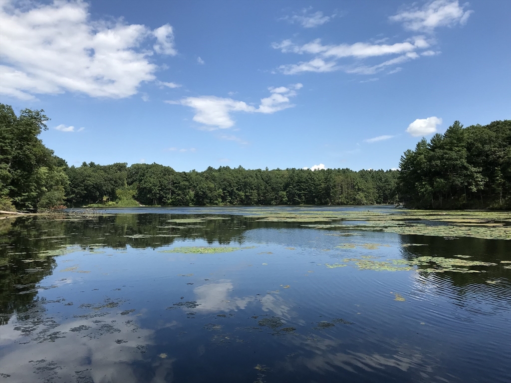 132 Chestnut Cir # 132