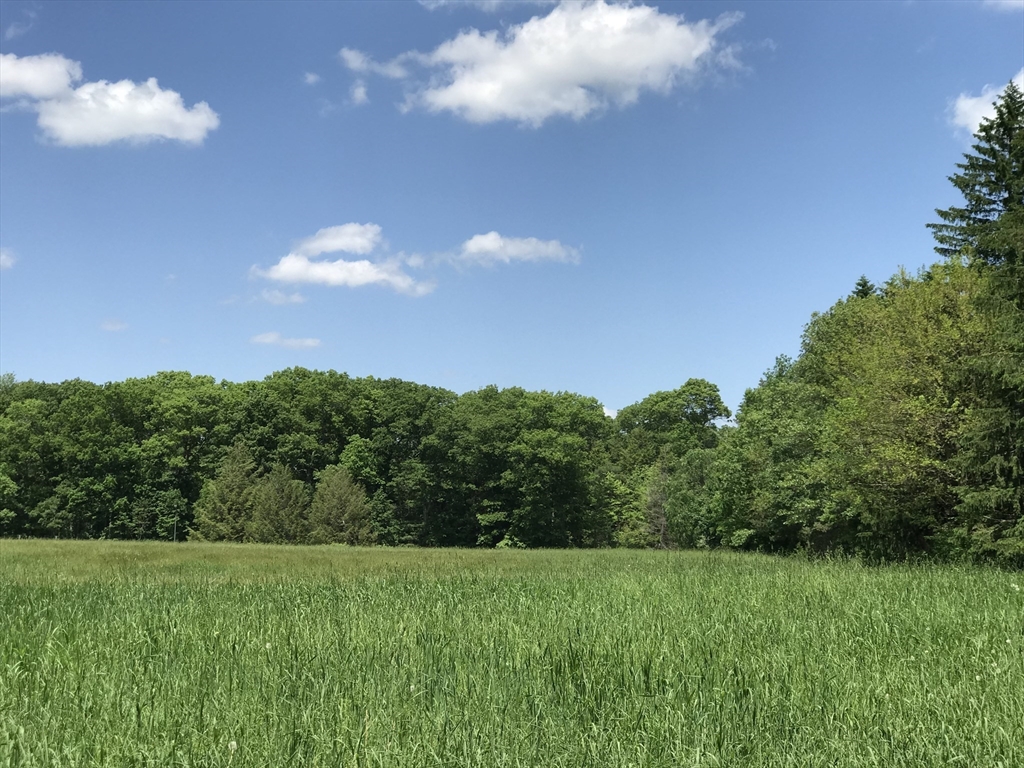 132 Chestnut Cir # 132