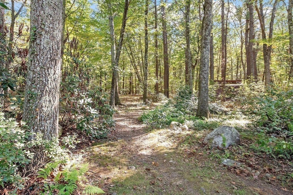 11 Horseshoe Dr