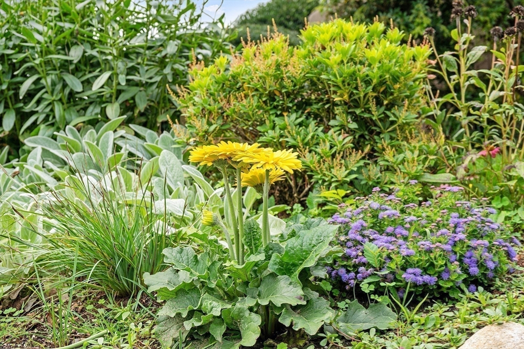 394 Plainfield Road # 394