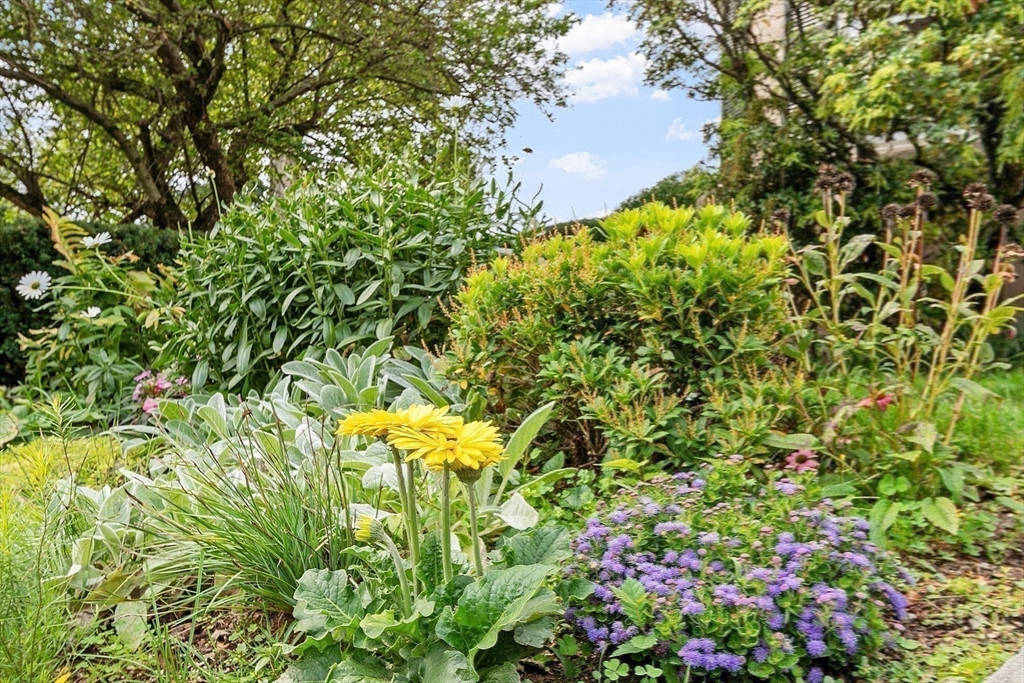 394 Plainfield Road # 394