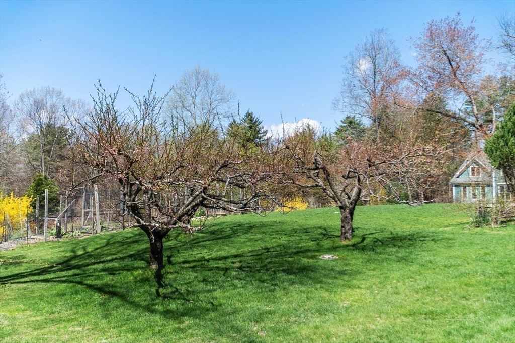 315 Nagog Hill Rd