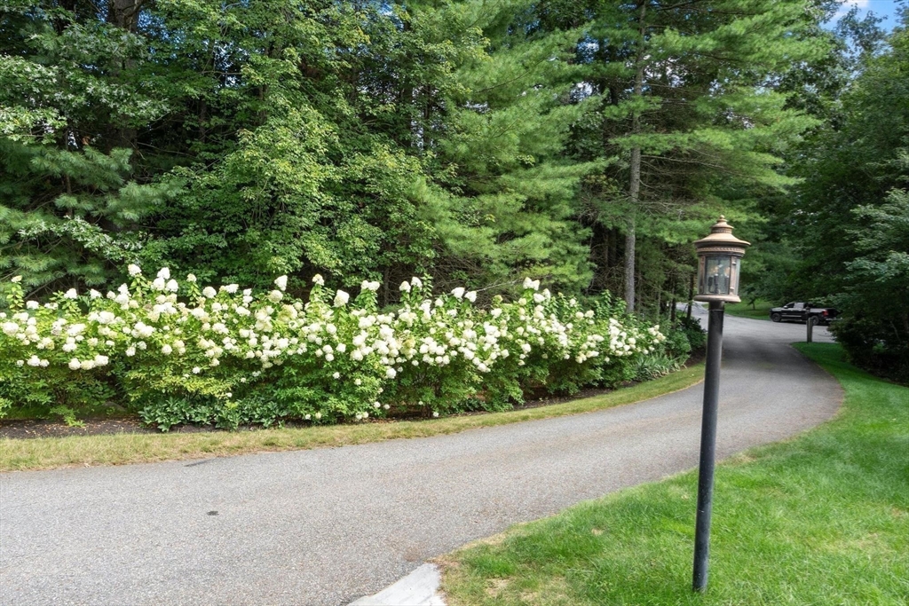 64 Tanglewood Way