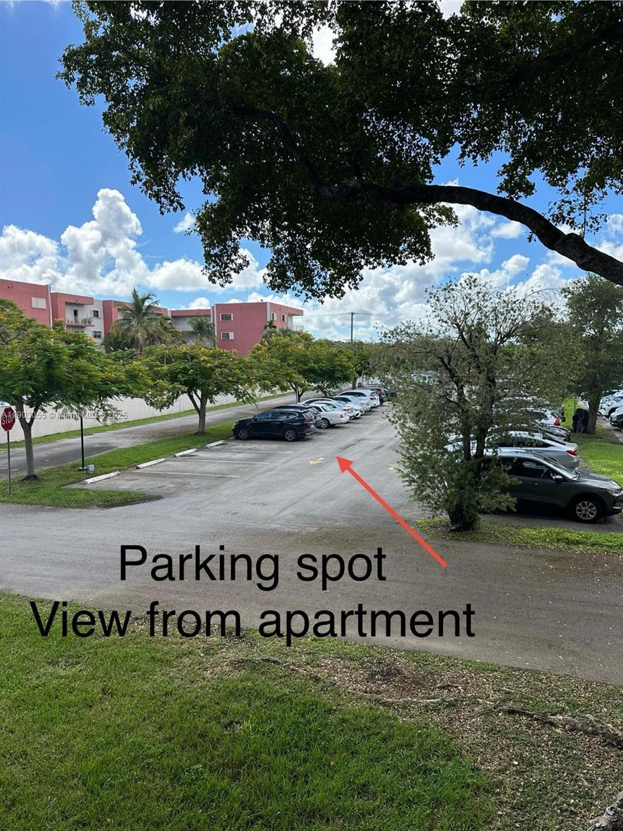 8411 NW 8th St # 204, Miami Unit: 204