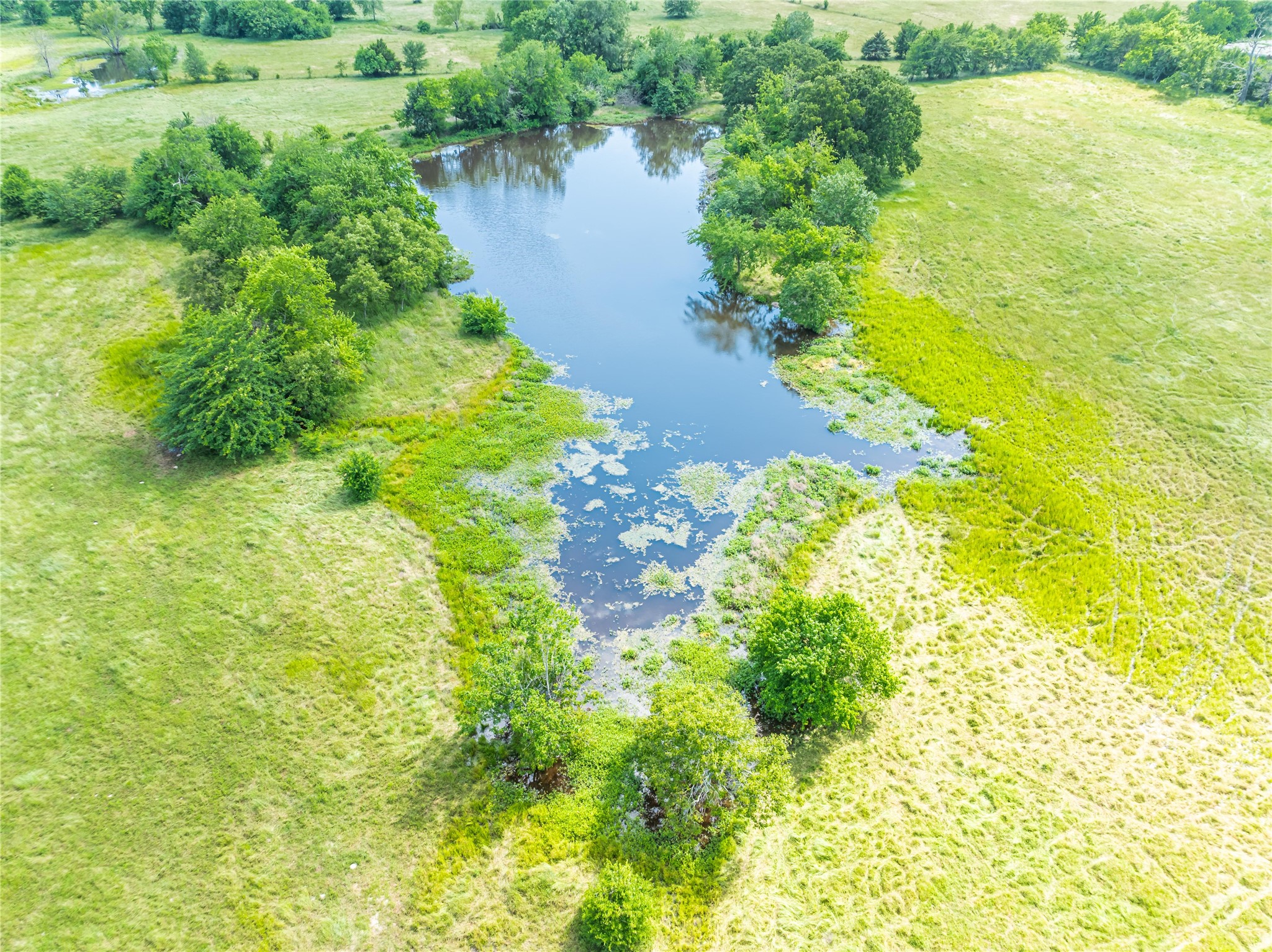 TBD COUNTY ROAD 14550