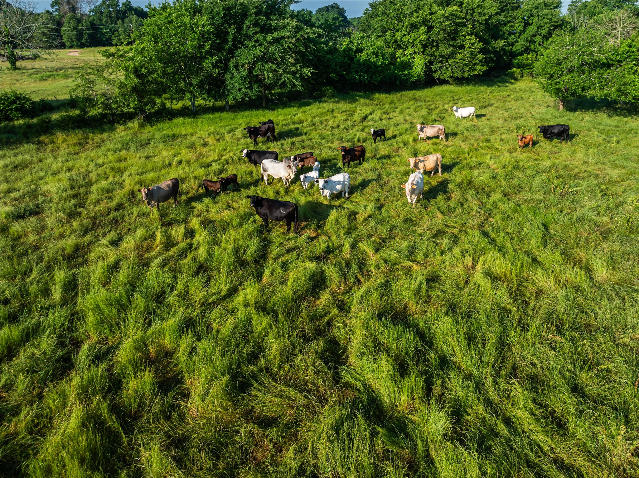 TBD COUNTY ROAD 14550